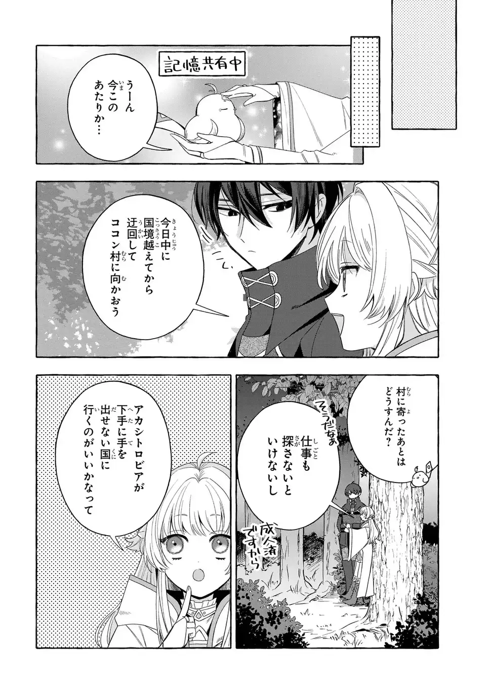 Watashi no Tsukutta Sennen Oukoku Tensai Madoushi no Jiyuu Kimama na Tensei Musoutan Chapter 8 12ページ