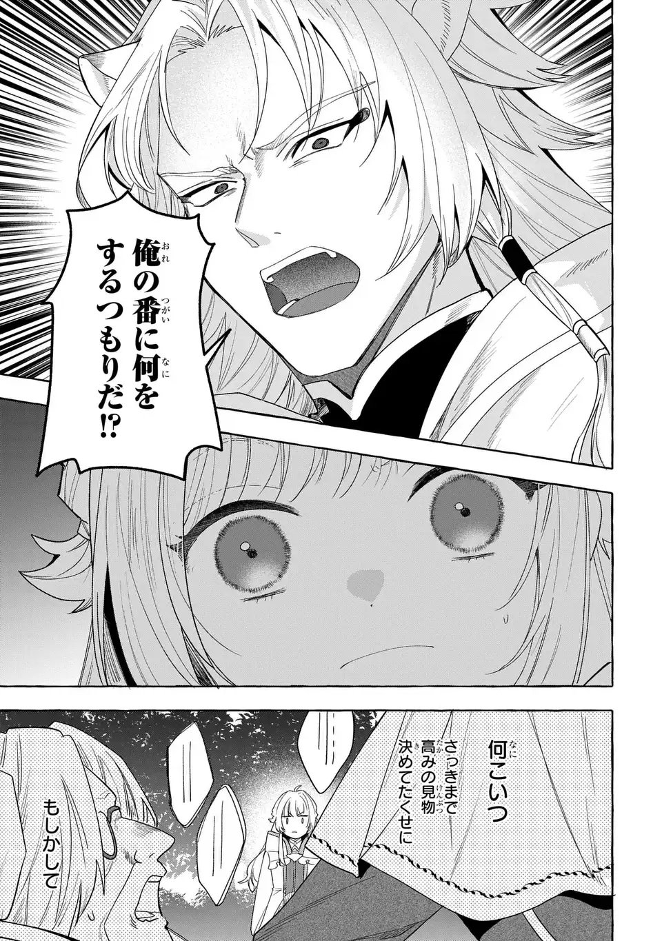 Watashi no Tsukutta Sennen Oukoku Tensai Madoushi no Jiyuu Kimama na Tensei Musoutan Chapter 9 17ページ