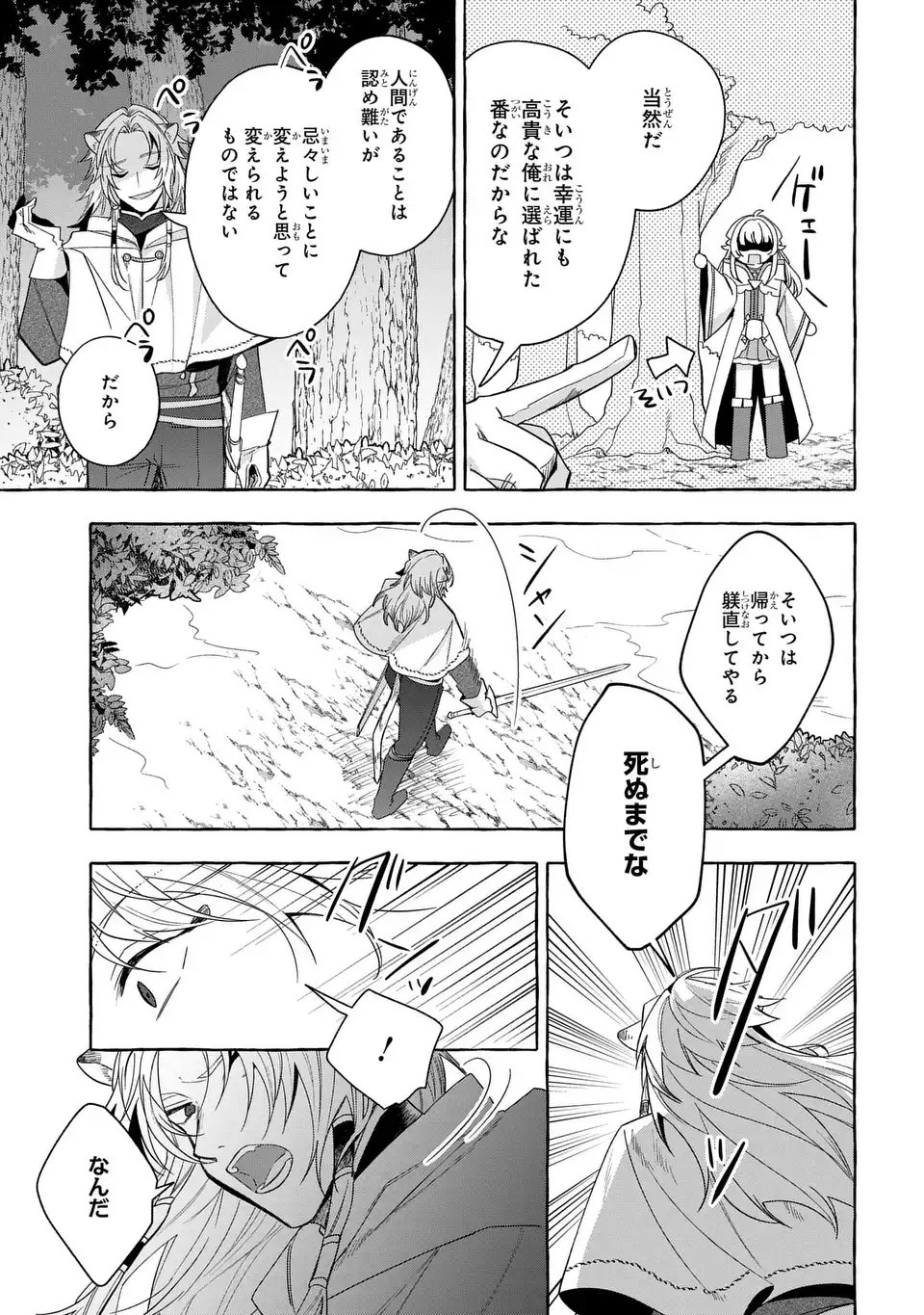 Watashi no Tsukutta Sennen Oukoku Tensai Madoushi no Jiyuu Kimama na Tensei Musoutan Chapter 9 25ページ