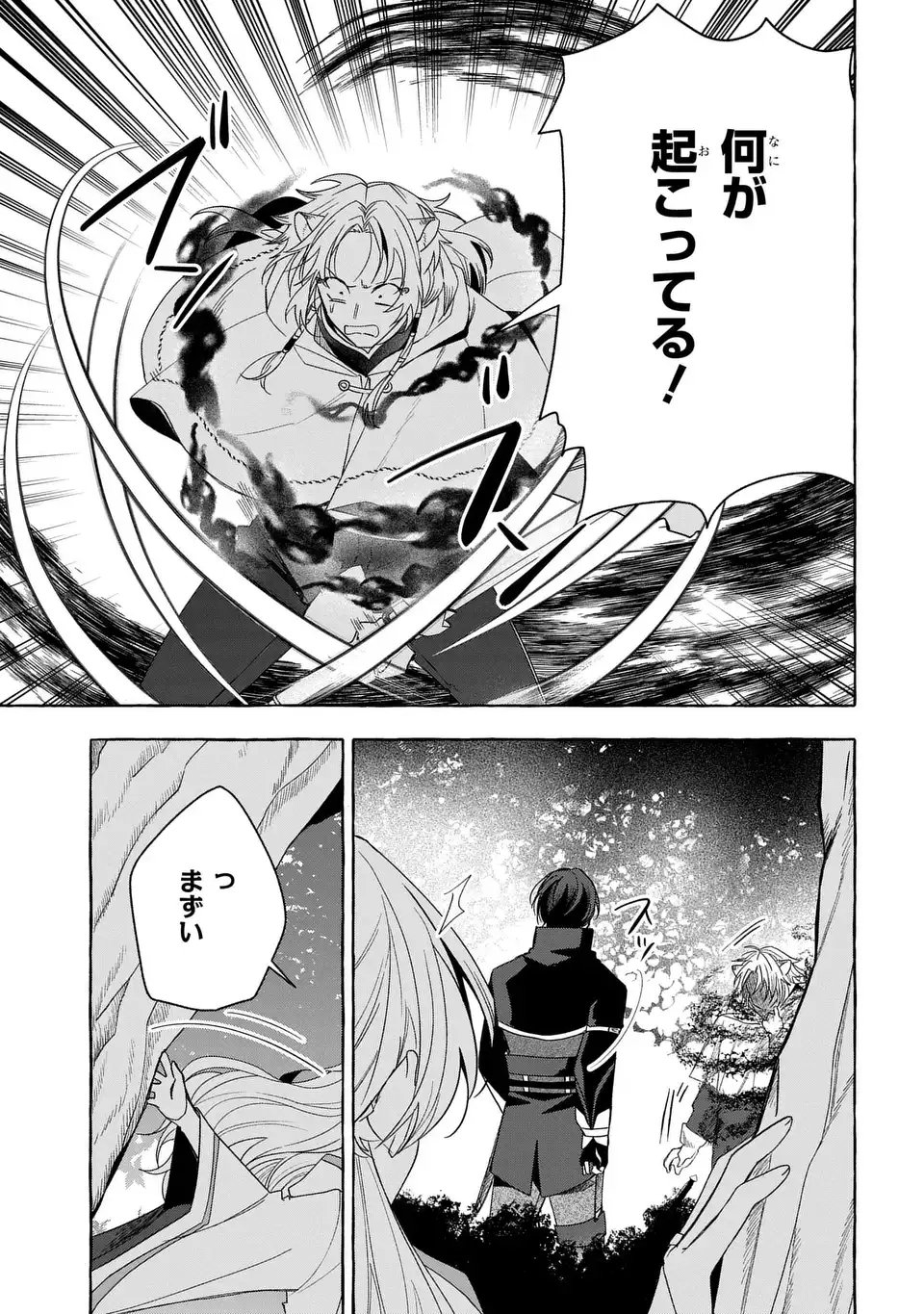 Watashi no Tsukutta Sennen Oukoku Tensai Madoushi no Jiyuu Kimama na Tensei Musoutan Chapter 9 27ページ