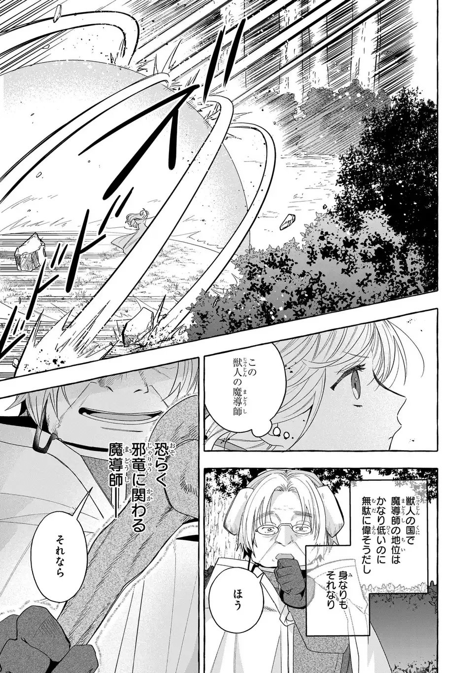 Watashi no Tsukutta Sennen Oukoku Tensai Madoushi no Jiyuu Kimama na Tensei Musoutan Chapter 9 5ページ