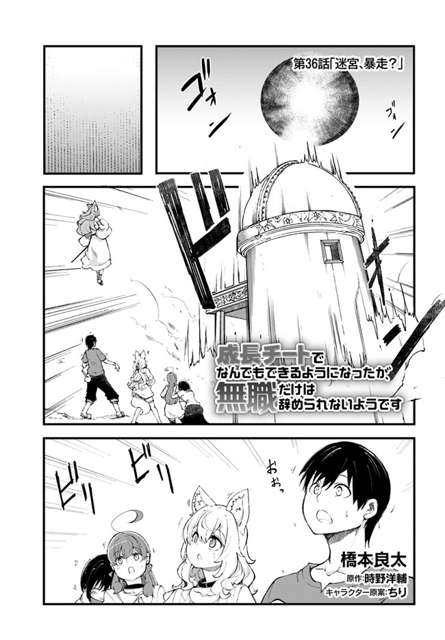 Seichou Cheat de Nandemo Dekiru you ni Natta ga, Mushoku dake wa Yamerarenai you desu Chapter 36 1ページ