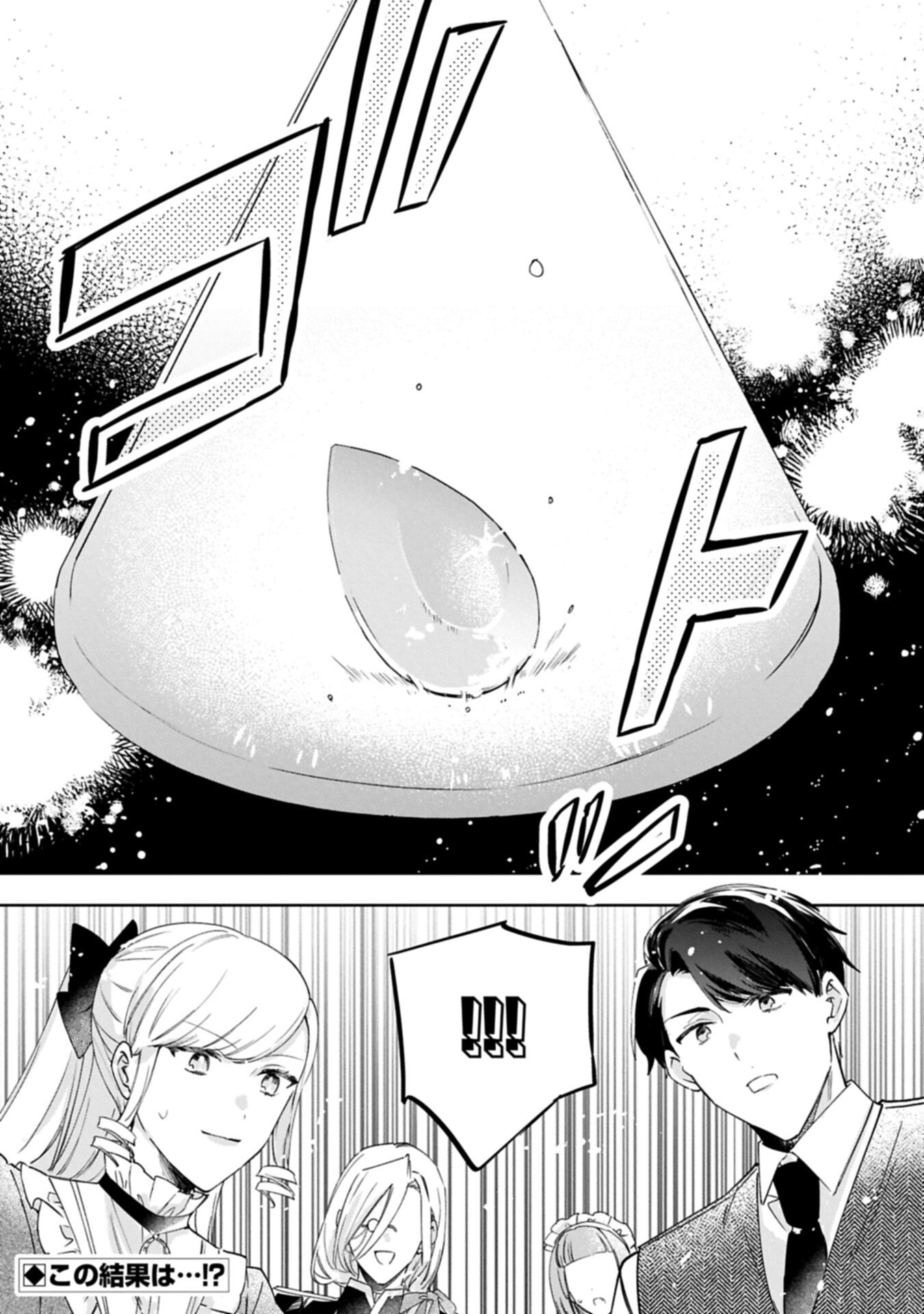Tsuihousareta Koushaku Reijou, Wilhelmina ga Shiawase ni Naru made - Saikyou no Heimin, Sekai ni Kakumei wo Okosu Chapter 16.2 17ページ