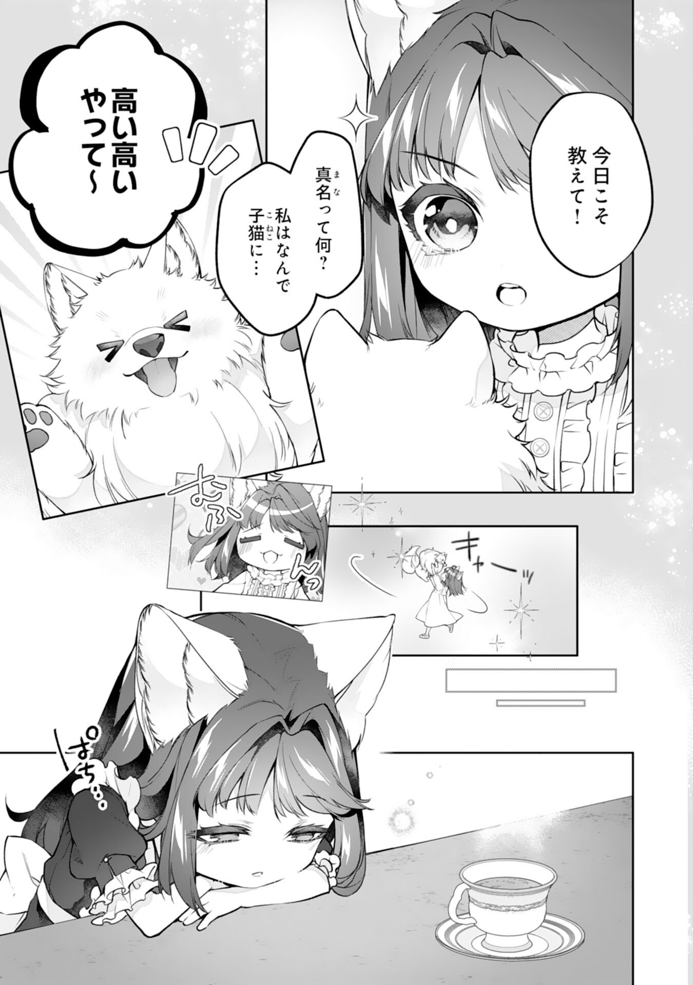 Neko Neko Youjo no Aijou Gohan - Isekai de Mofumofu-tachi ni Ryouri wo Tsukurimasu! Chapter 16 3ページ
