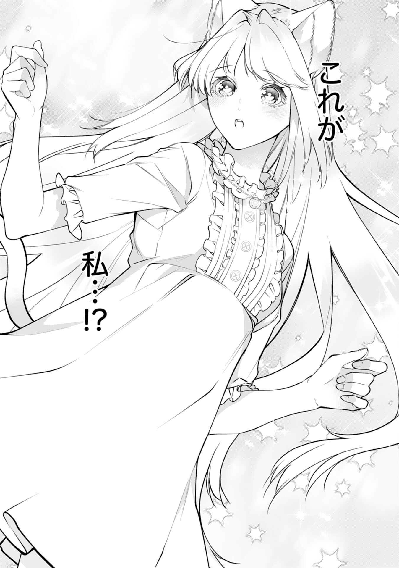 Neko Neko Youjo no Aijou Gohan - Isekai de Mofumofu-tachi ni Ryouri wo Tsukurimasu! Chapter 18 14ページ