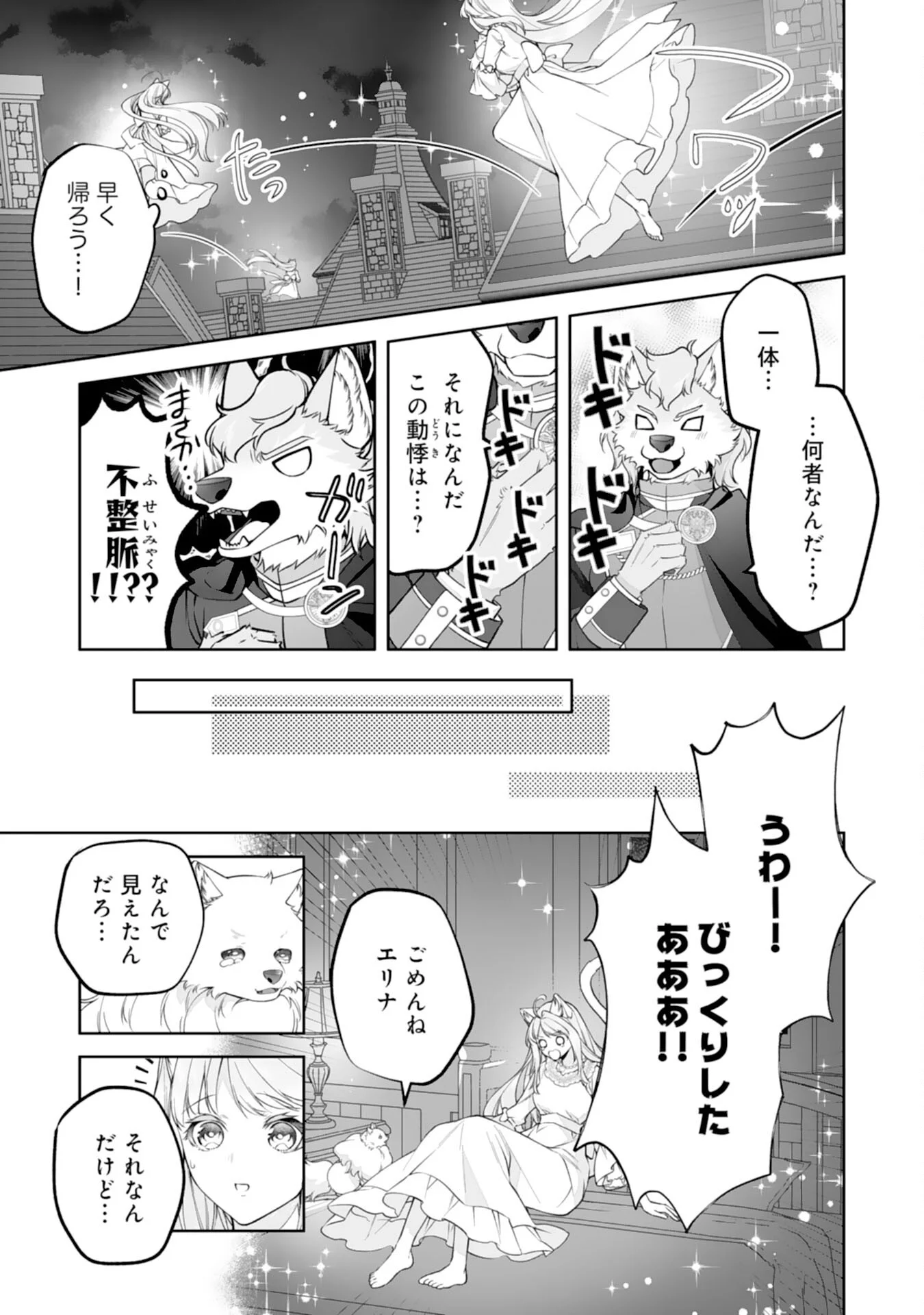 Neko Neko Youjo no Aijou Gohan - Isekai de Mofumofu-tachi ni Ryouri wo Tsukurimasu! Chapter 19 5ページ