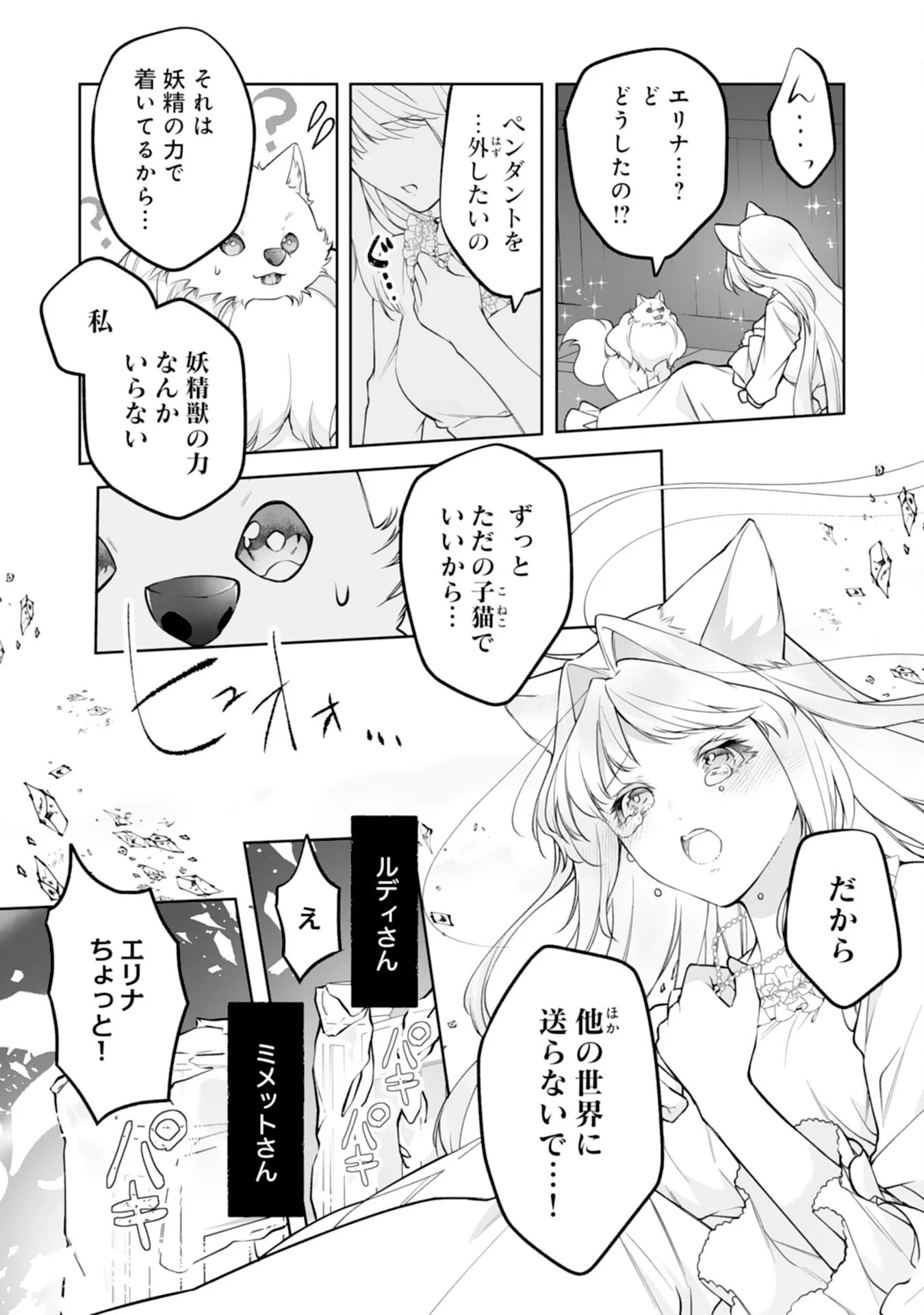Neko Neko Youjo no Aijou Gohan - Isekai de Mofumofu-tachi ni Ryouri wo Tsukurimasu! Chapter 19 7ページ
