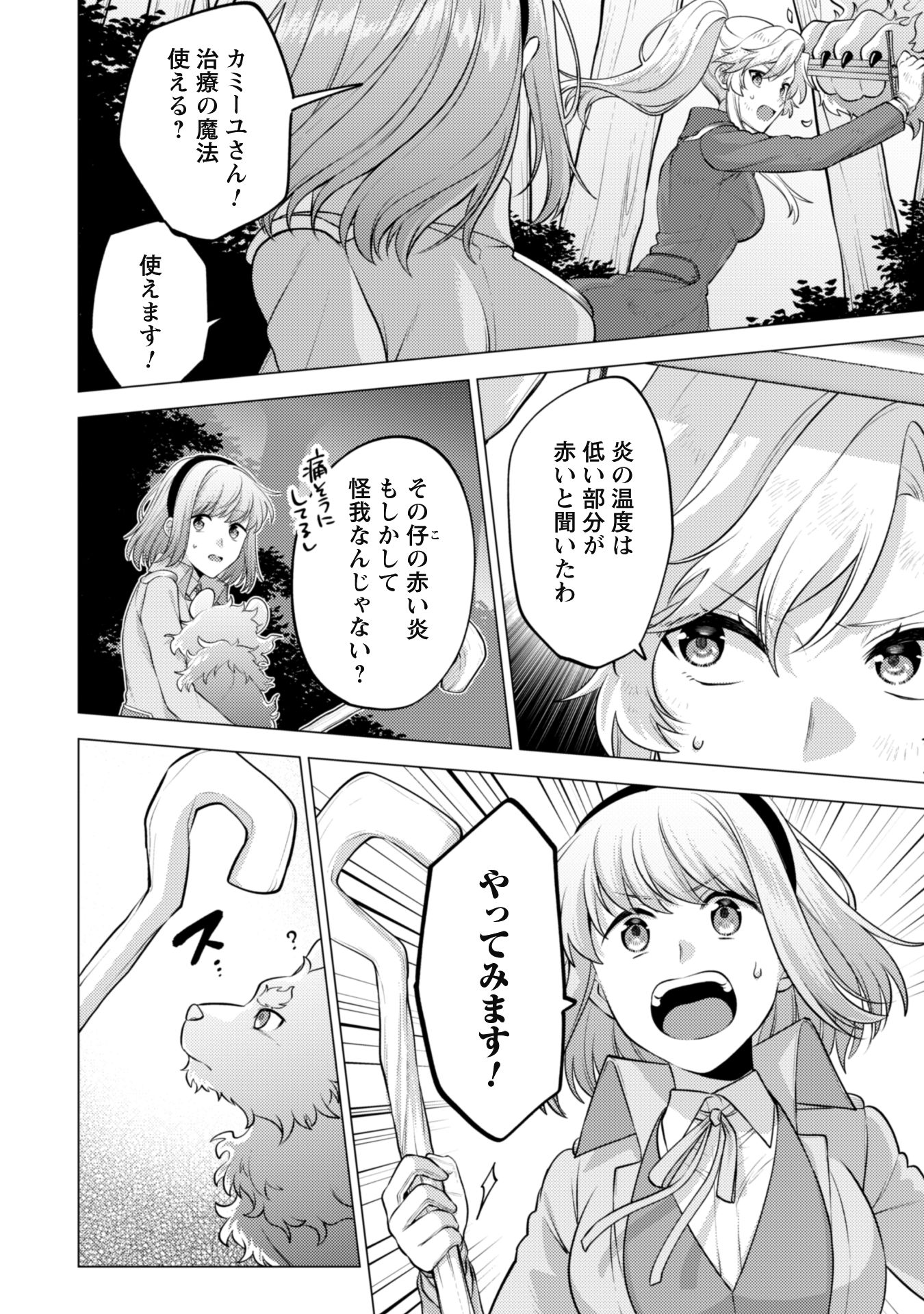 Watashi ga Seijo? Iie, Akuyaku Reijou desu! - Na no de, Zenin Hametsu wa Soshi Sasete Itadakimasu Chapter 21.2 10ページ