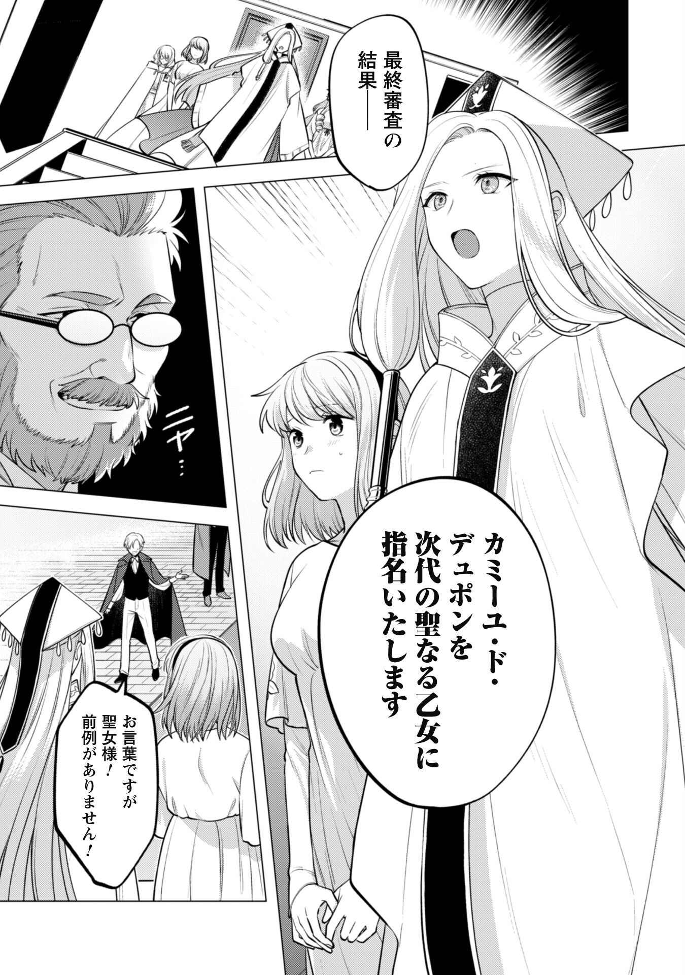 Watashi ga Seijo? Iie, Akuyaku Reijou desu! - Na no de, Zenin Hametsu wa Soshi Sasete Itadakimasu Chapter 28 28ページ