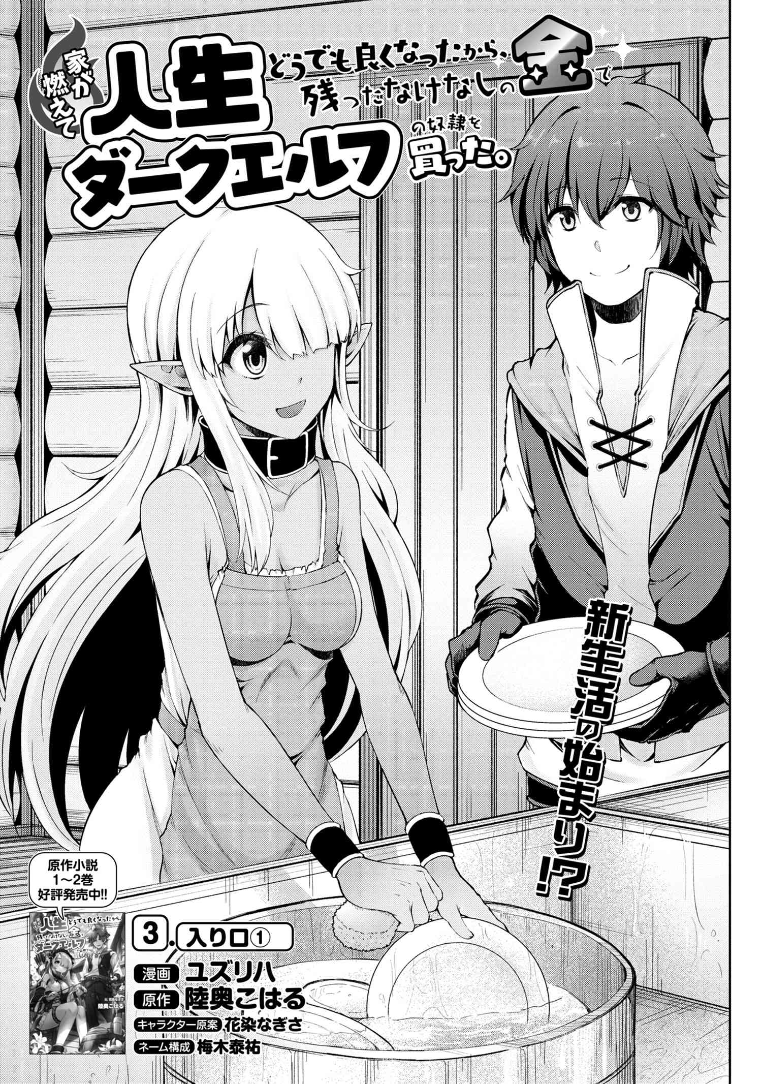 Ie ga Moete Jinsei dou demo Yoku Natta kara, Nokotta Nakenashi no Kane de Dark Elf no Dorei o Katta Chapter 3.1 1ページ