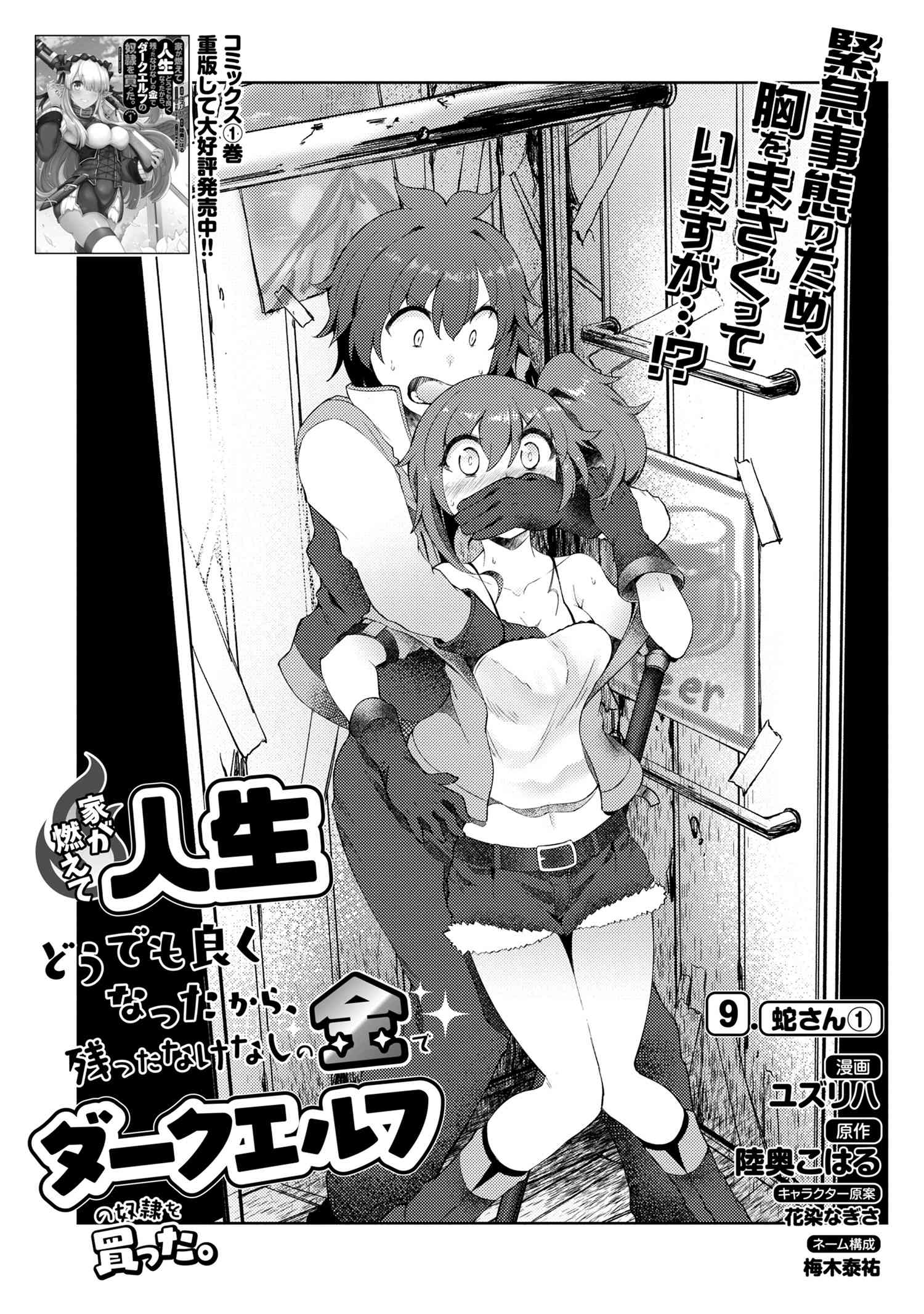 Ie ga Moete Jinsei dou demo Yoku Natta kara, Nokotta Nakenashi no Kane de Dark Elf no Dorei o Katta Chapter 9.1 1ページ