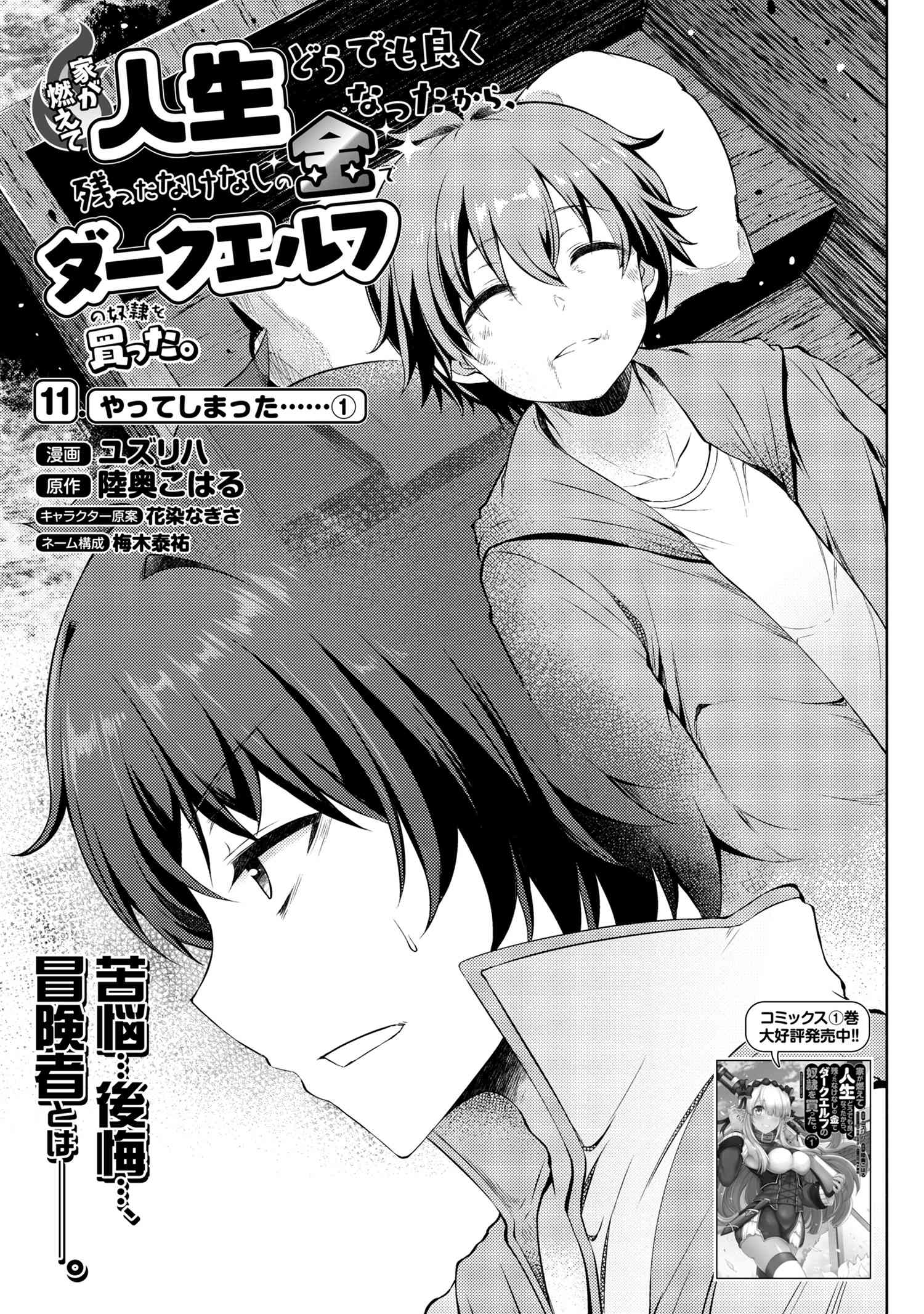 Ie ga Moete Jinsei dou demo Yoku Natta kara, Nokotta Nakenashi no Kane de Dark Elf no Dorei o Katta Chapter 11.1 1ページ