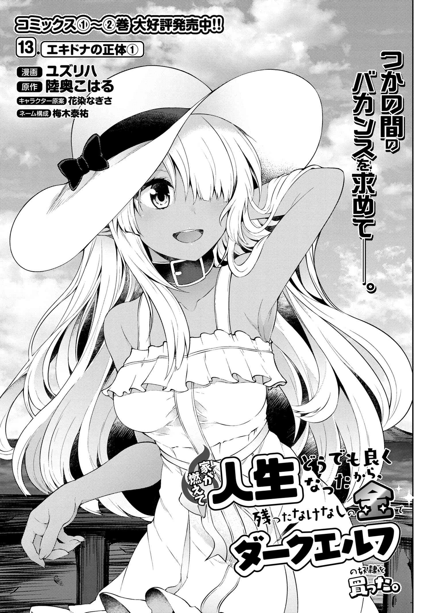 Ie ga Moete Jinsei dou demo Yoku Natta kara, Nokotta Nakenashi no Kane de Dark Elf no Dorei o Katta Chapter 13.1 1ページ