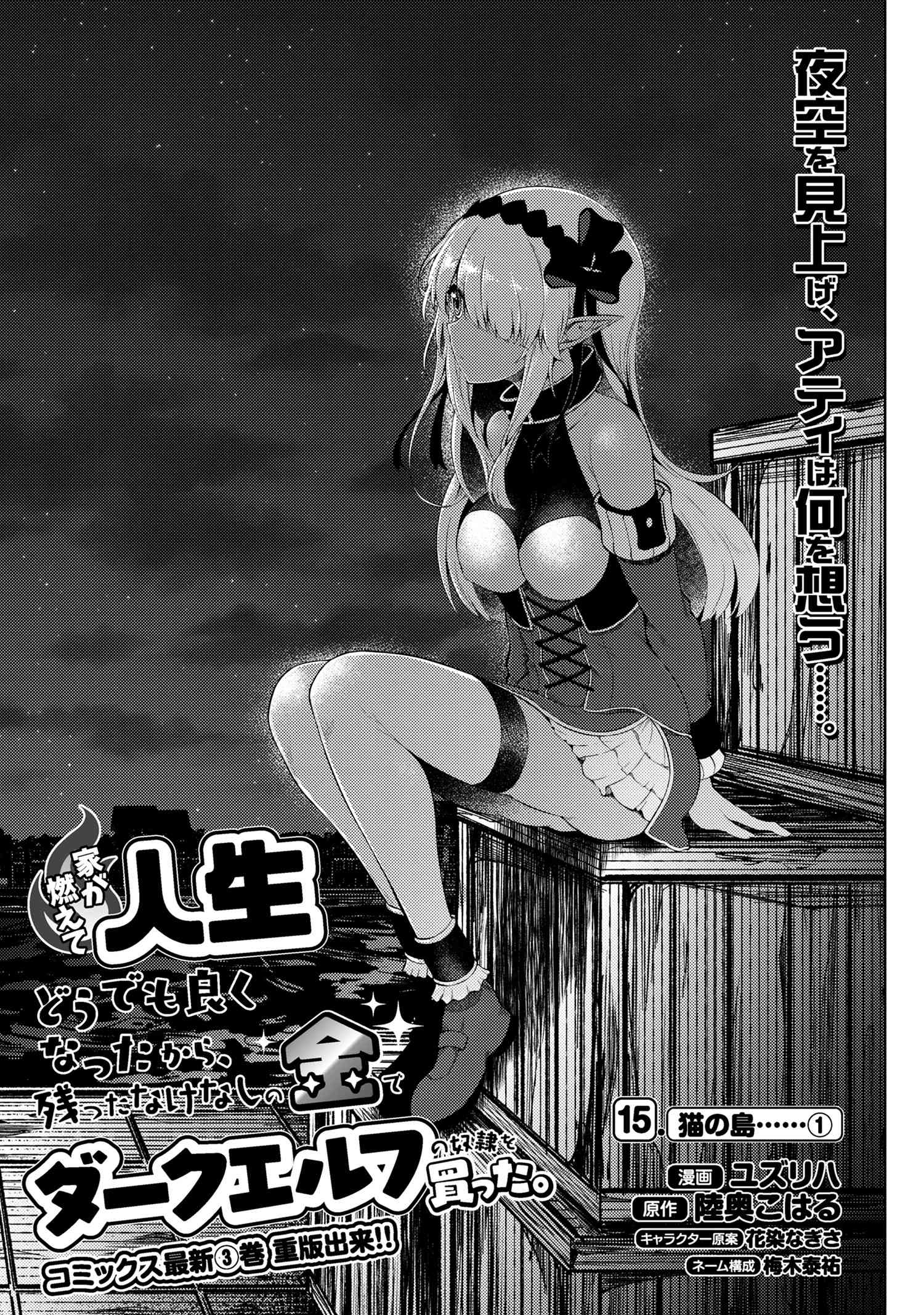 Ie ga Moete Jinsei dou demo Yoku Natta kara, Nokotta Nakenashi no Kane de Dark Elf no Dorei o Katta Chapter 15.1 3ページ