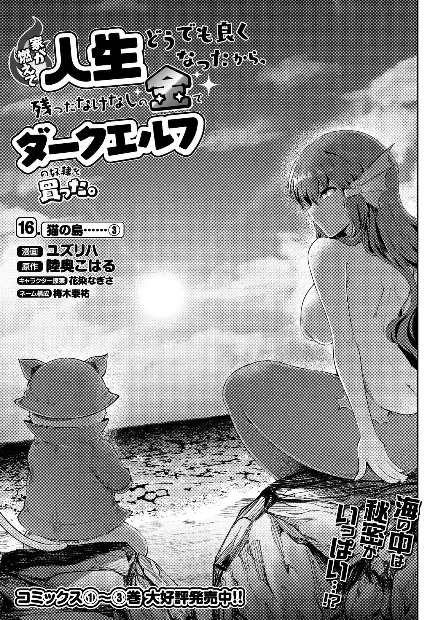 Ie ga Moete Jinsei dou demo Yoku Natta kara, Nokotta Nakenashi no Kane de Dark Elf no Dorei o Katta Chapter 16.1 1ページ