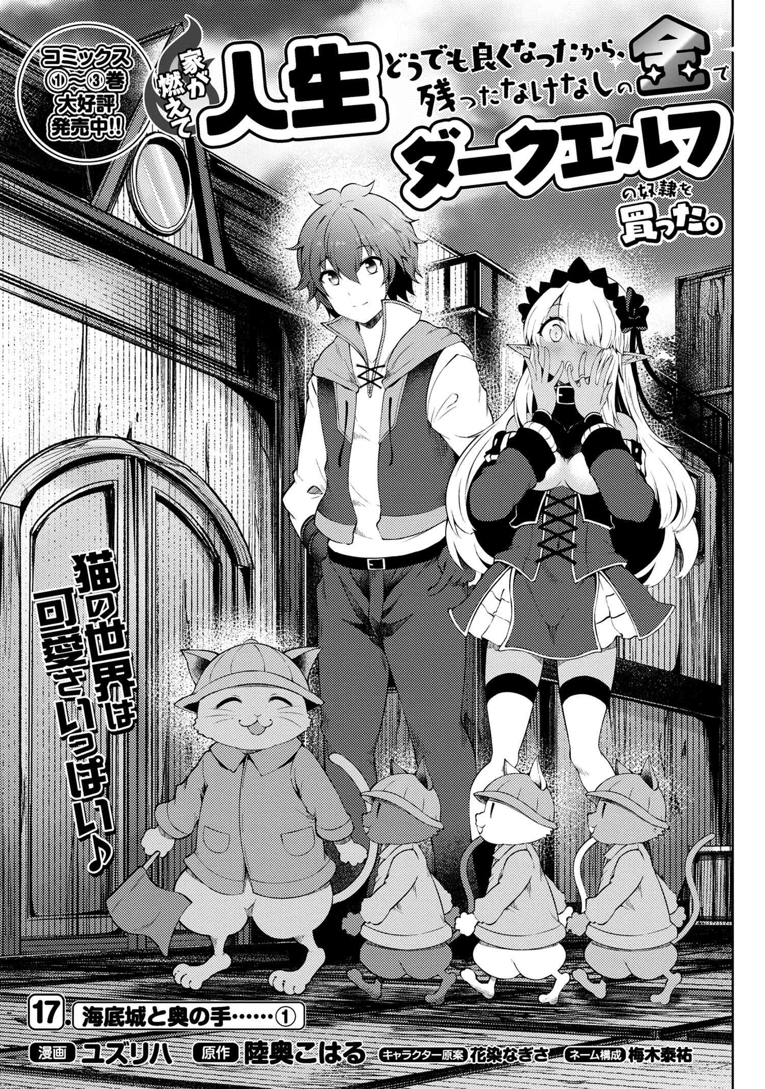 Ie ga Moete Jinsei dou demo Yoku Natta kara, Nokotta Nakenashi no Kane de Dark Elf no Dorei o Katta Chapter 17.1 1ページ