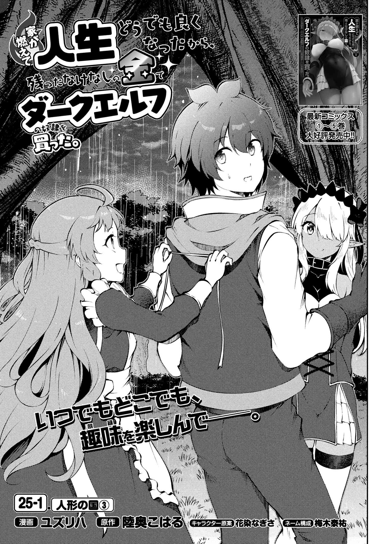 Ie ga Moete Jinsei dou demo Yoku Natta kara, Nokotta Nakenashi no Kane de Dark Elf no Dorei o Katta Chapter 25.1 1ページ