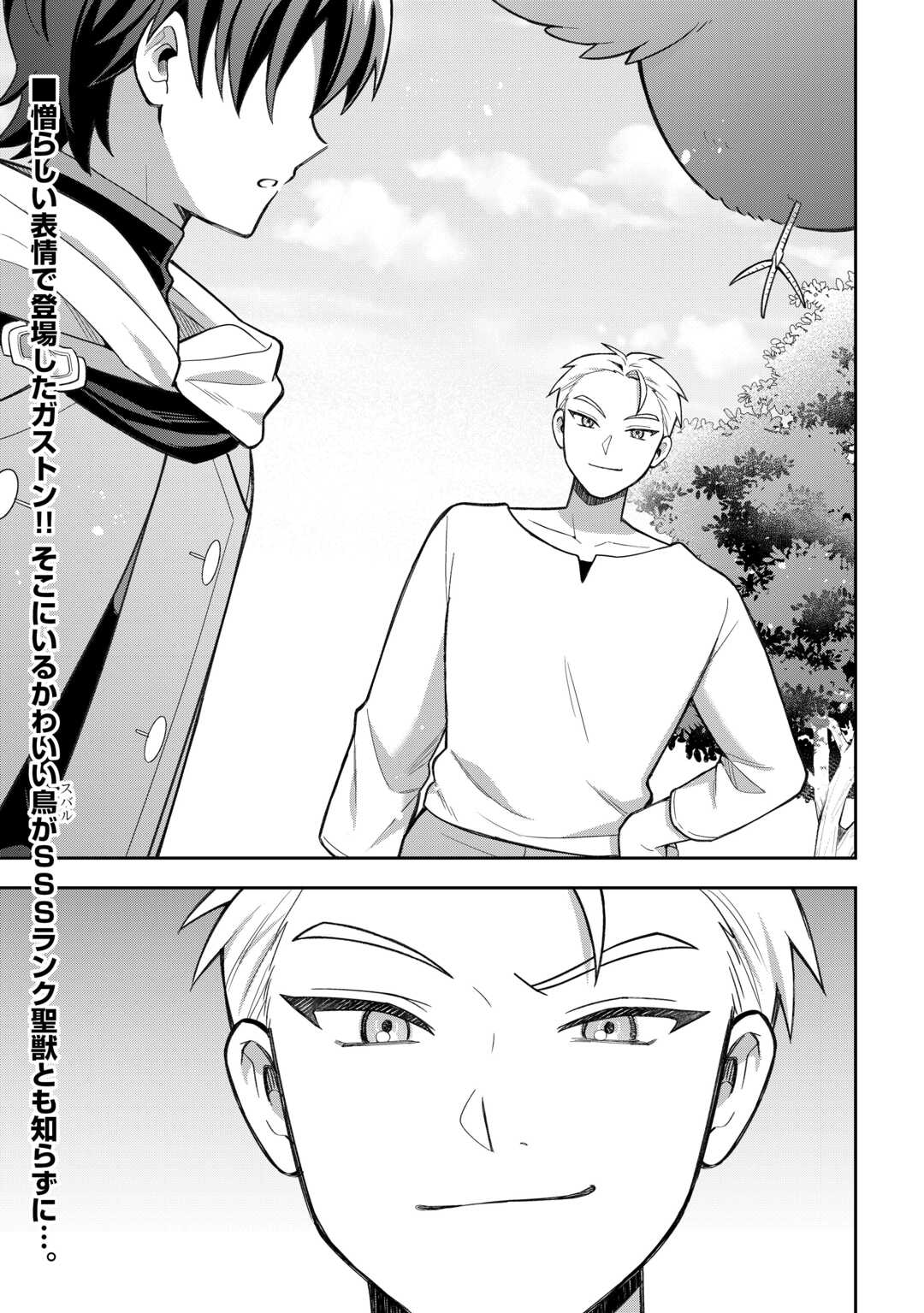 The Kindhearted Low-Rank Tamer Rules With SSS-Rank Sacred Beasts and Fluffy Overpowering Chapter 13 15ページ