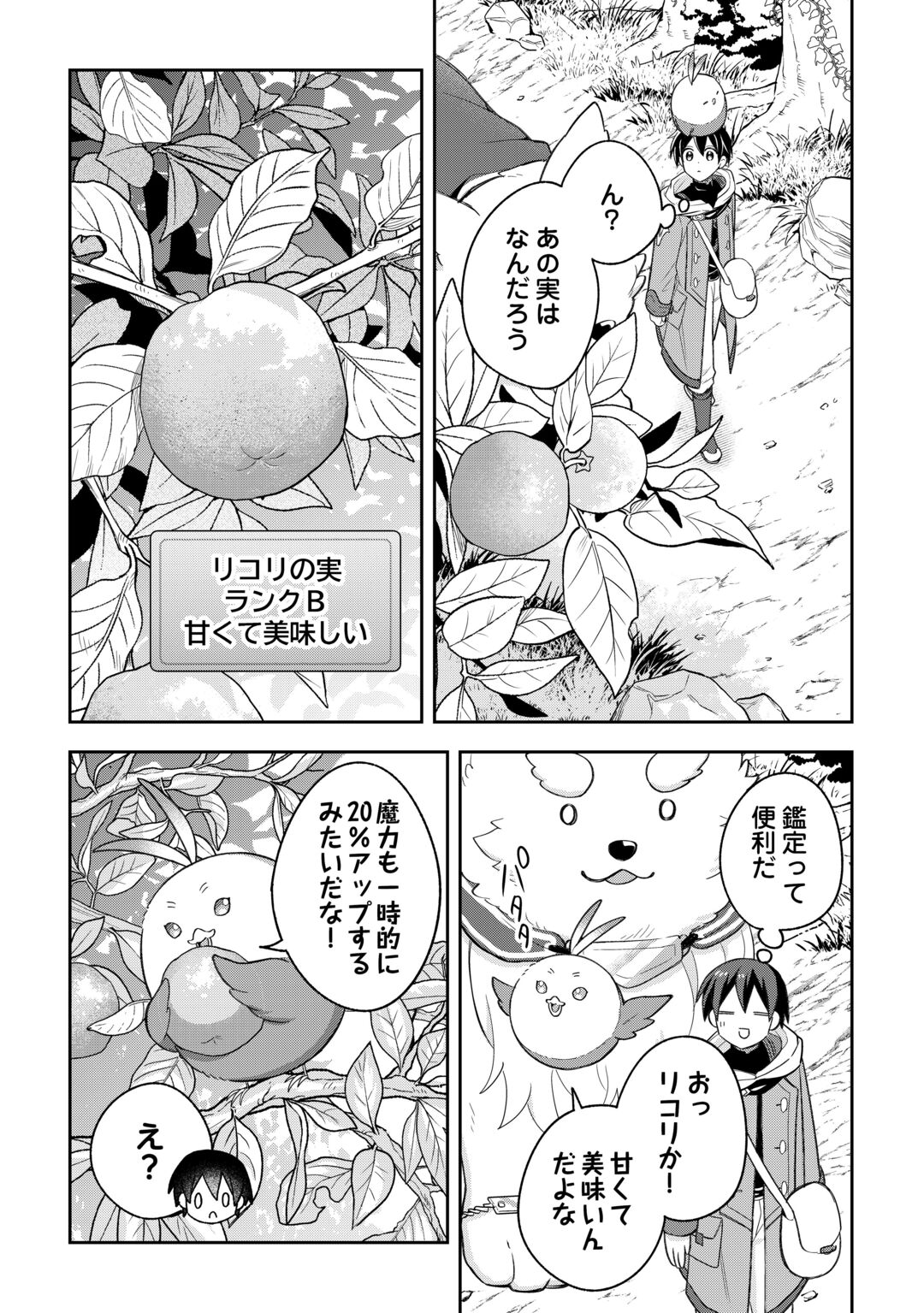 The Kindhearted Low-Rank Tamer Rules With SSS-Rank Sacred Beasts and Fluffy Overpowering Chapter 15 12ページ