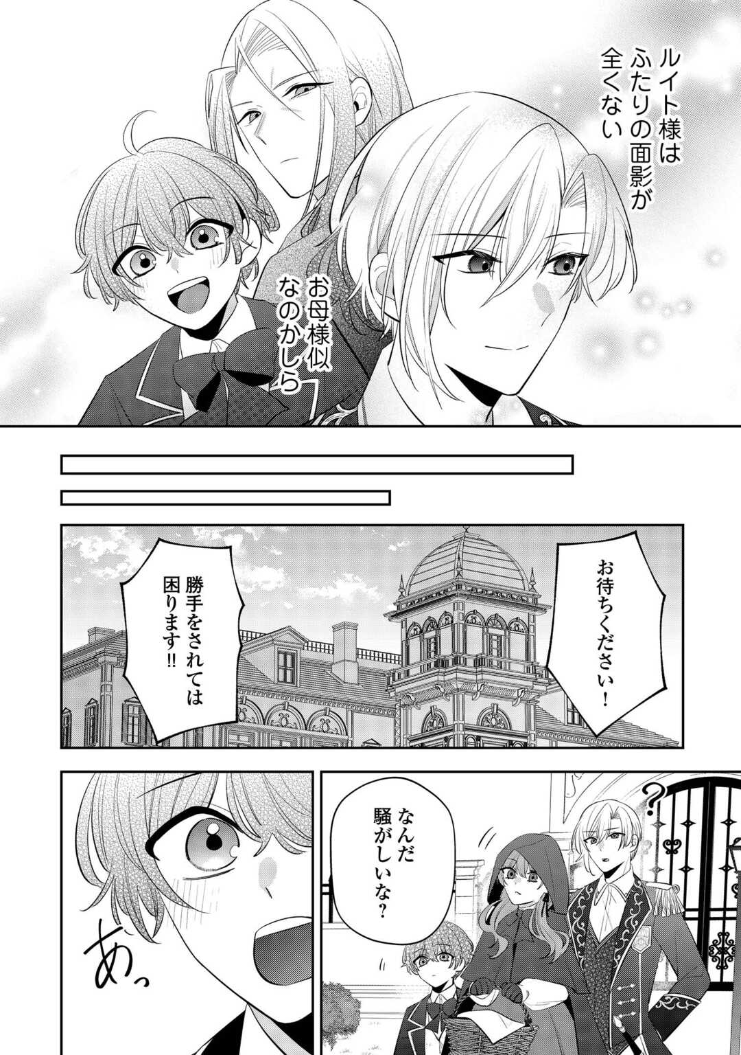 Zense de Shokei Sareta Seijo, Ima wa Kuro Kusushi to Yobareteimasu Chapter 6 26ページ