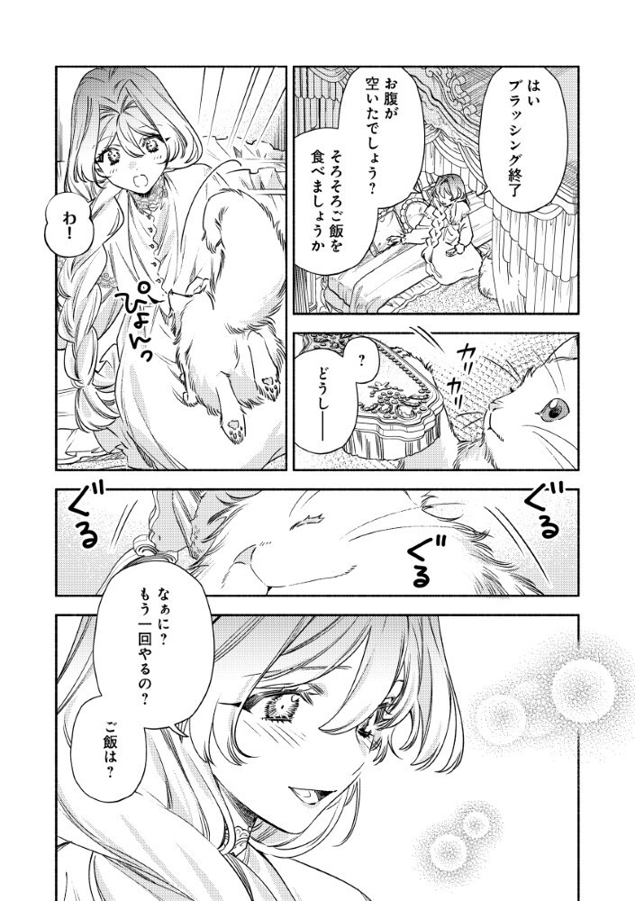Akuyaku Reijou no Oyome-sama Chapter 16.5 11ページ