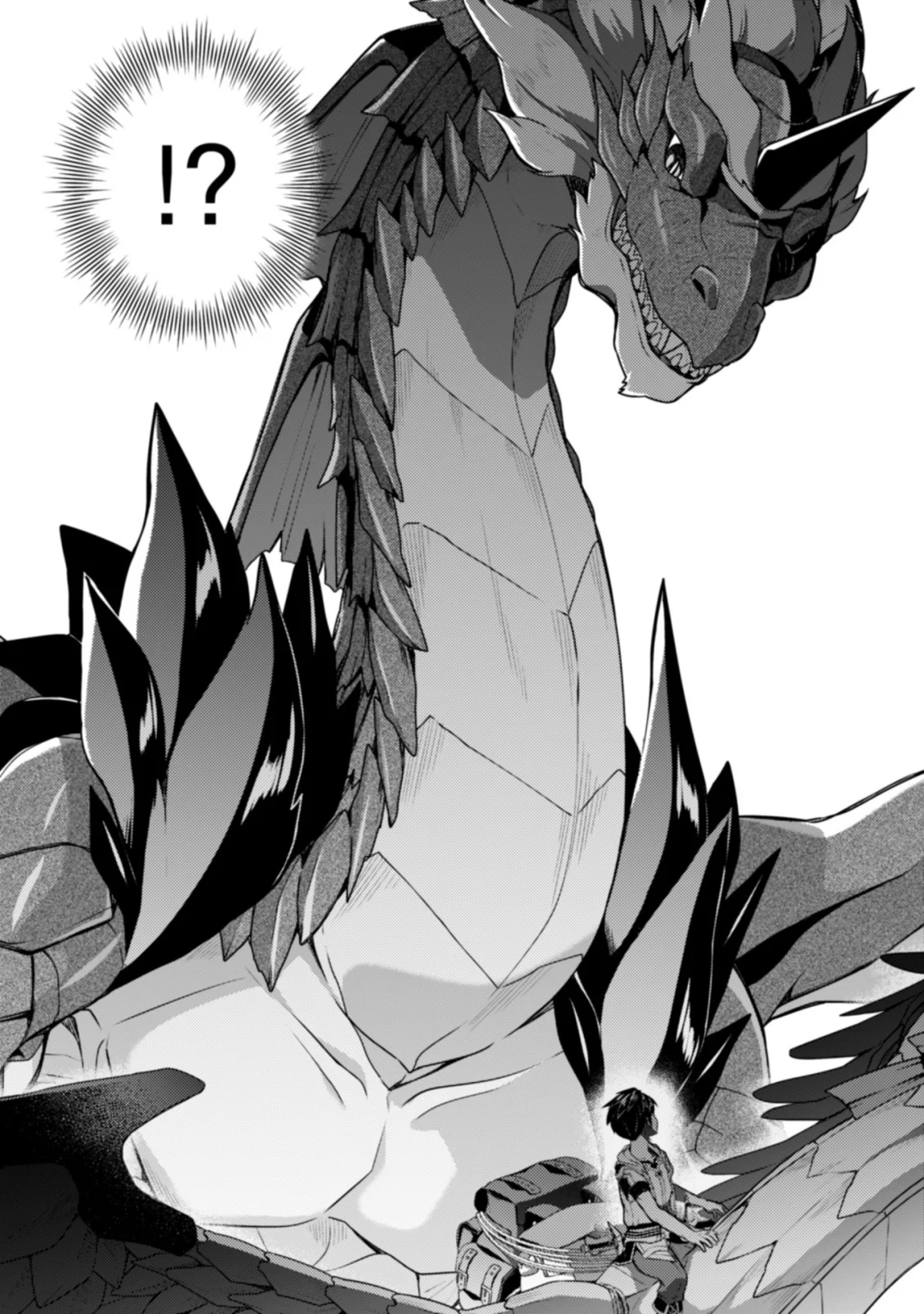Sekai Saikyou no Shinjuu Tsukai Chapter 27.1 9ページ