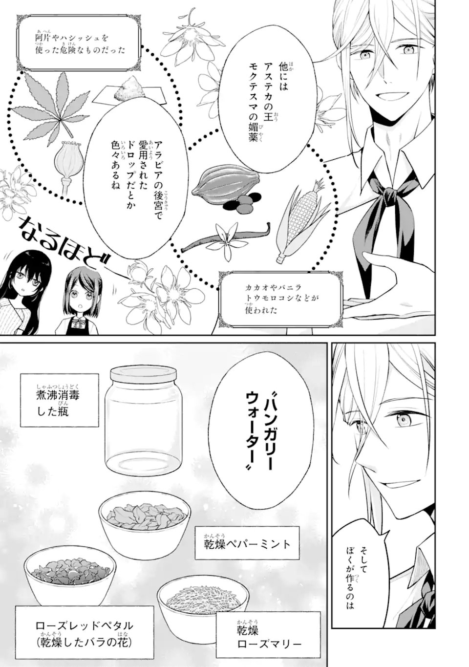 Mushoku no Watashi to Tennen Half Ouji no Mahou Recipe Chapter 9.2 3ページ