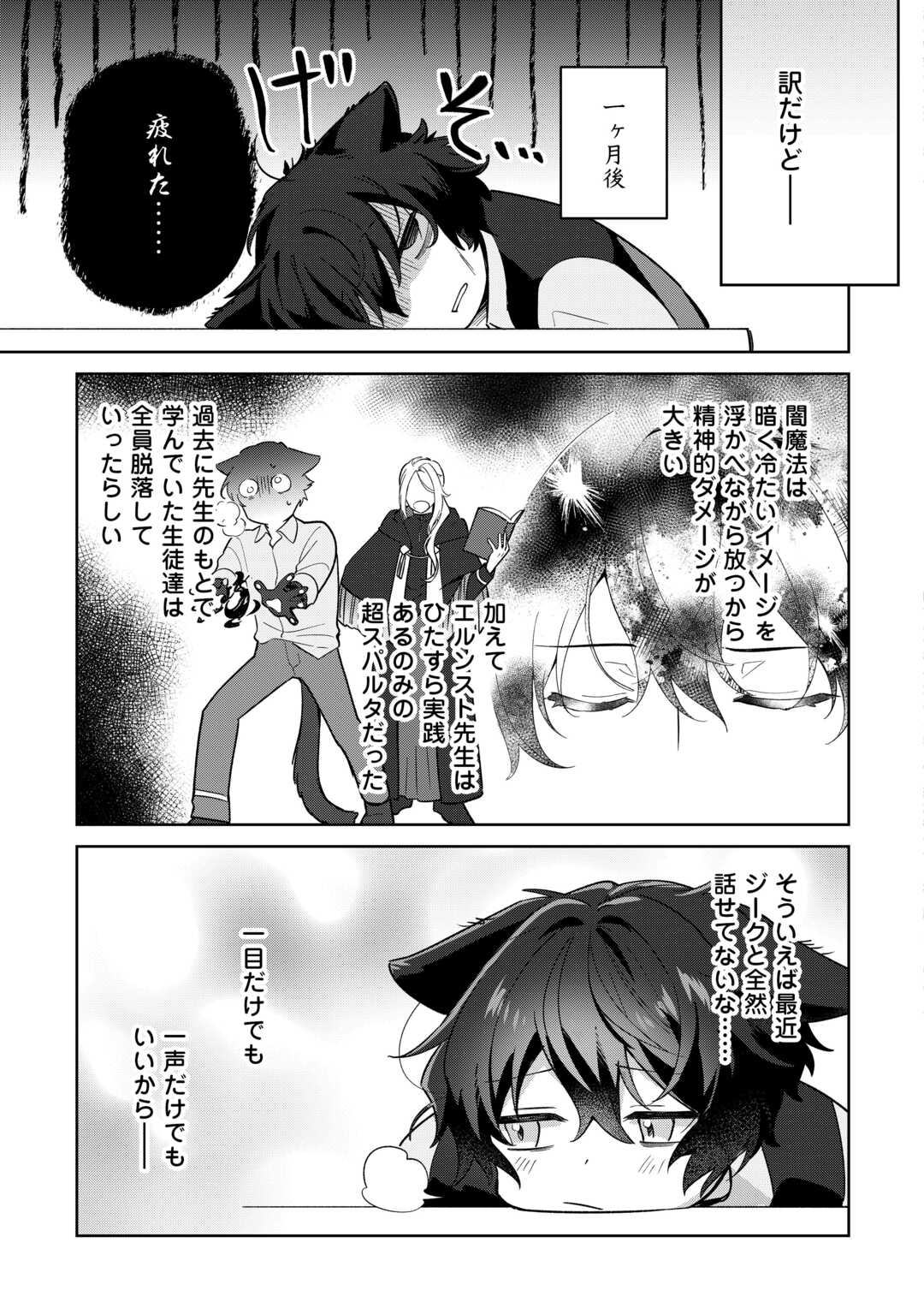 Futago no Ouji ni Futago de Konyaku shitakedo Janai Hou dakara Yami Mahou wo Kiwameru Chapter 3 13ページ