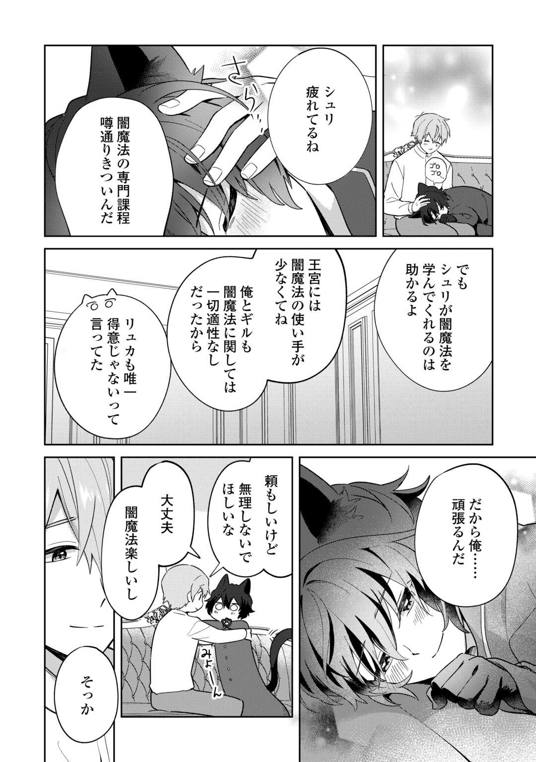 Futago no Ouji ni Futago de Konyaku shitakedo Janai Hou dakara Yami Mahou wo Kiwameru Chapter 3 16ページ
