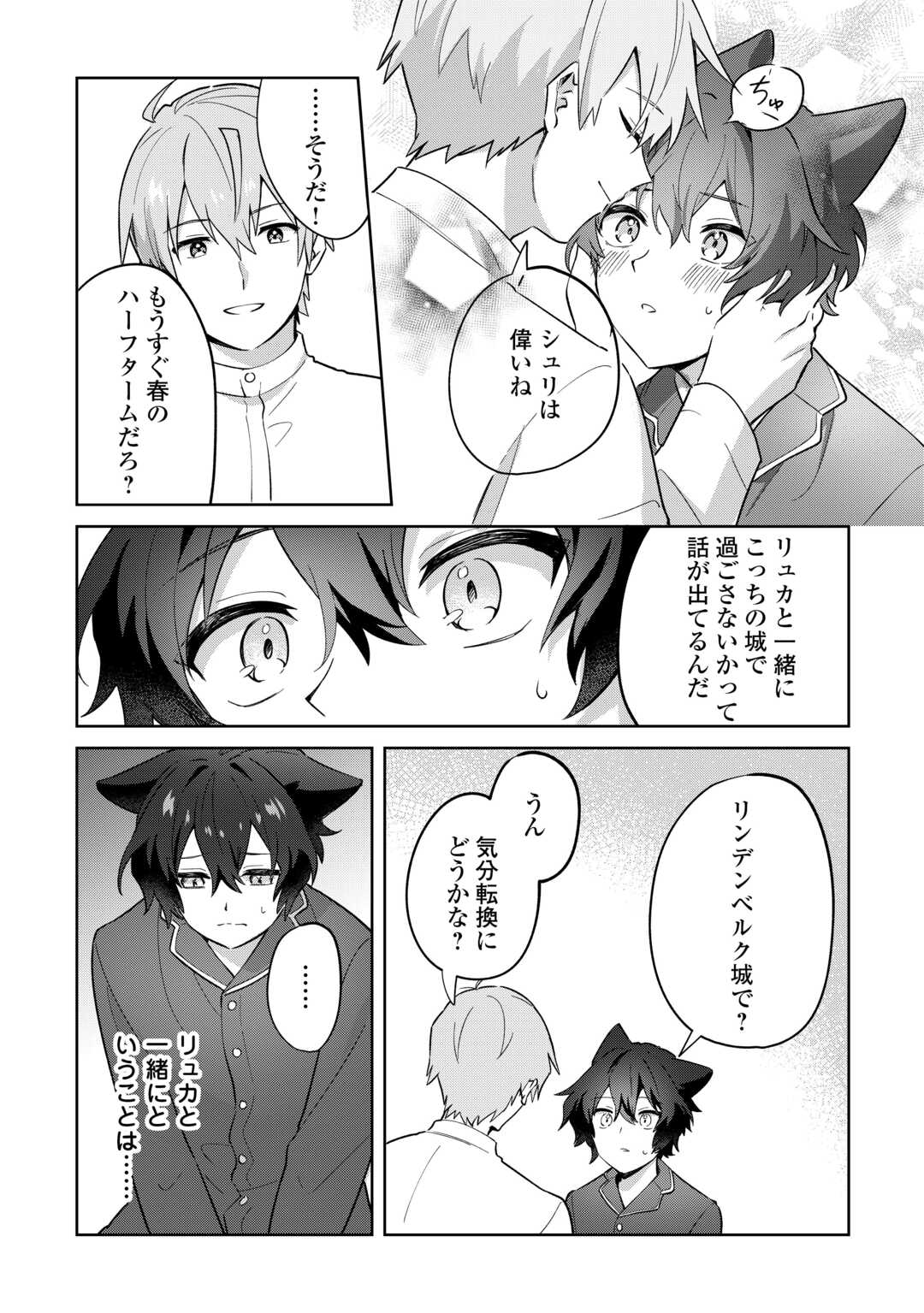 Futago no Ouji ni Futago de Konyaku shitakedo Janai Hou dakara Yami Mahou wo Kiwameru Chapter 3 17ページ