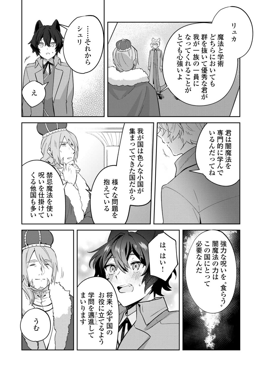 Futago no Ouji ni Futago de Konyaku shitakedo Janai Hou dakara Yami Mahou wo Kiwameru Chapter 3 20ページ