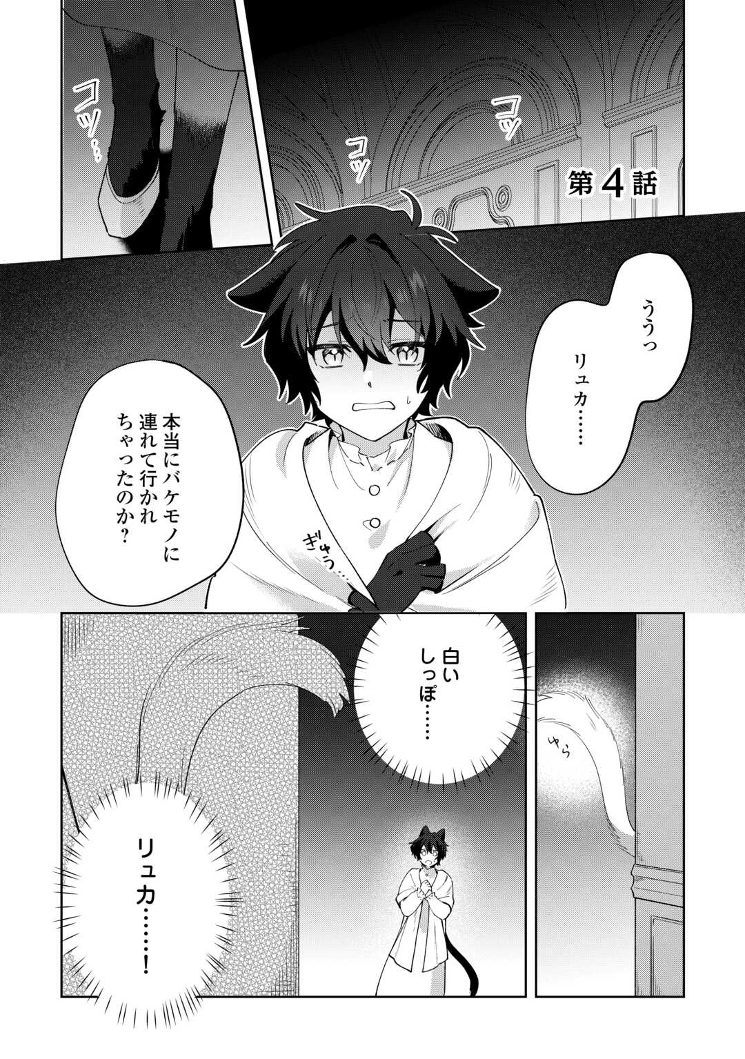 Futago no Ouji ni Futago de Konyaku shitakedo Janai Hou dakara Yami Mahou wo Kiwameru Chapter 4 1ページ