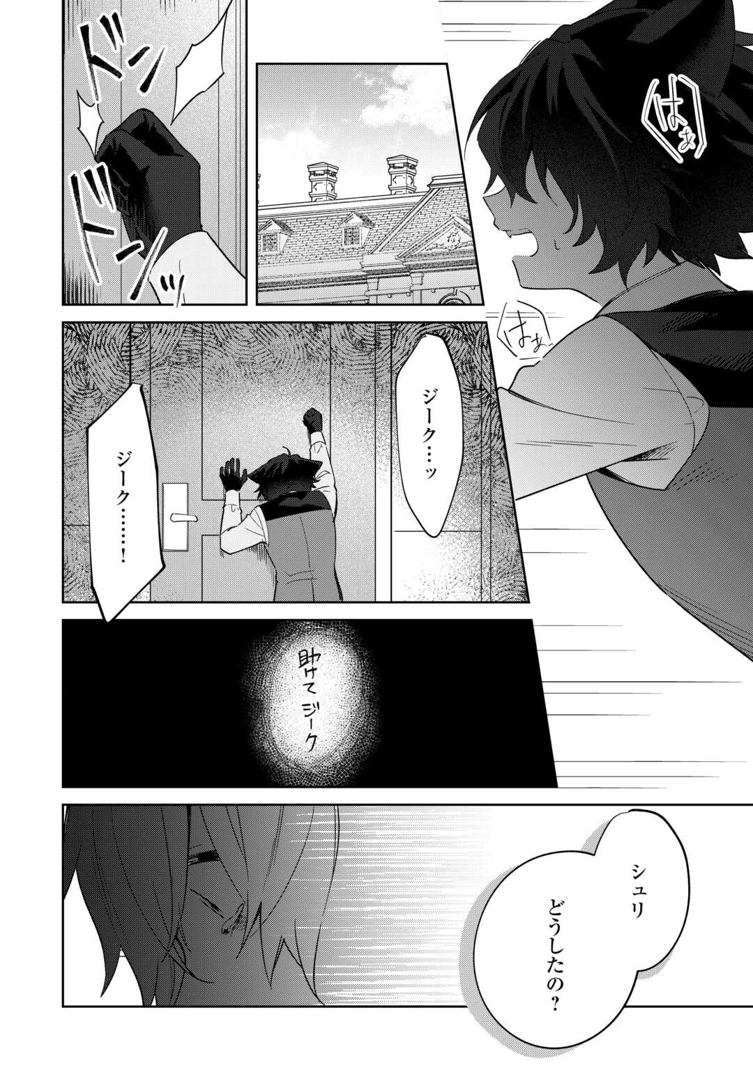 Futago no Ouji ni Futago de Konyaku shitakedo Janai Hou dakara Yami Mahou wo Kiwameru Chapter 4 26ページ
