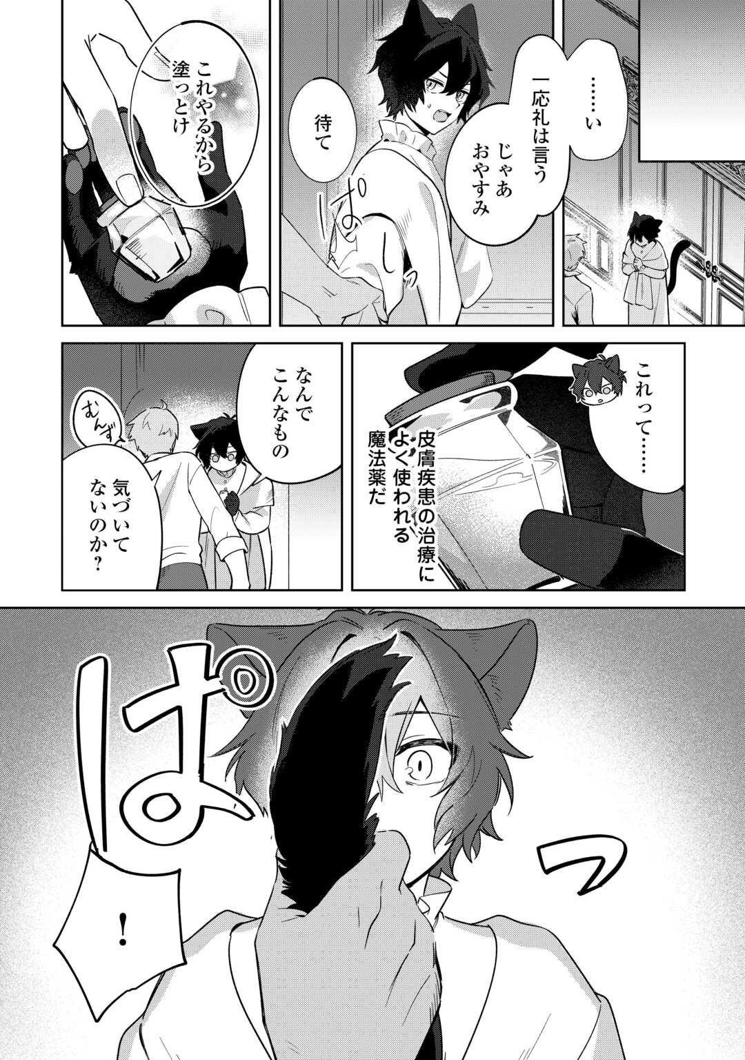 Futago no Ouji ni Futago de Konyaku shitakedo Janai Hou dakara Yami Mahou wo Kiwameru Chapter 4 6ページ