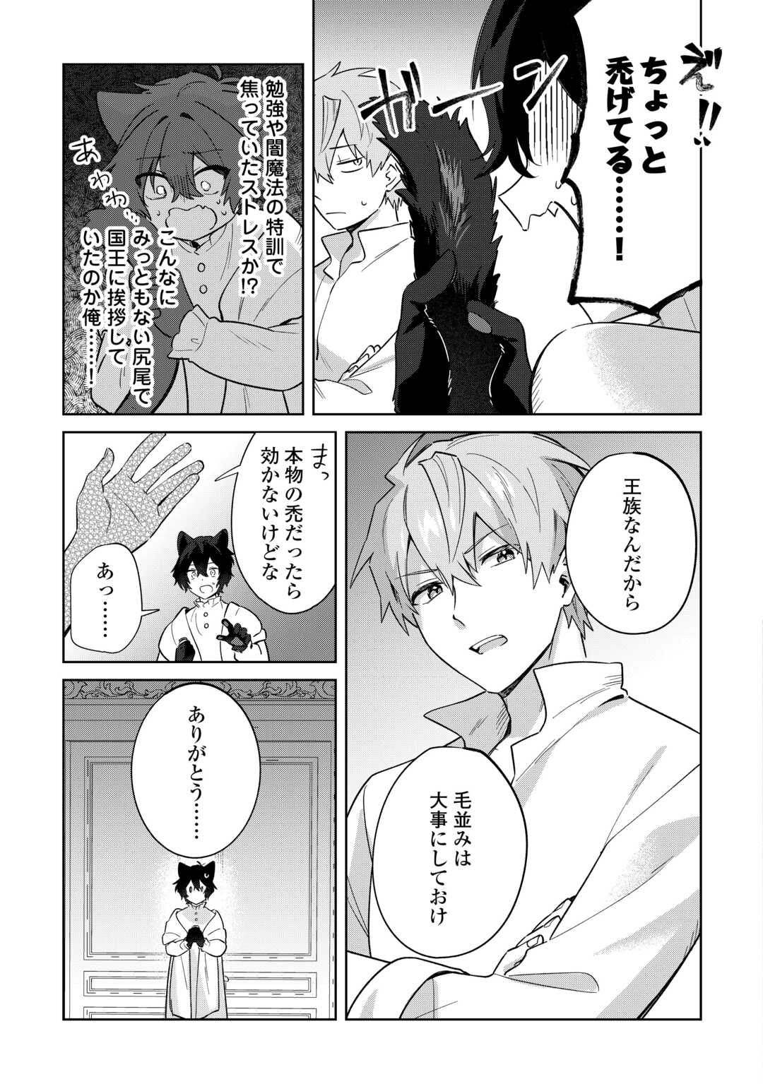 Futago no Ouji ni Futago de Konyaku shitakedo Janai Hou dakara Yami Mahou wo Kiwameru Chapter 4 7ページ