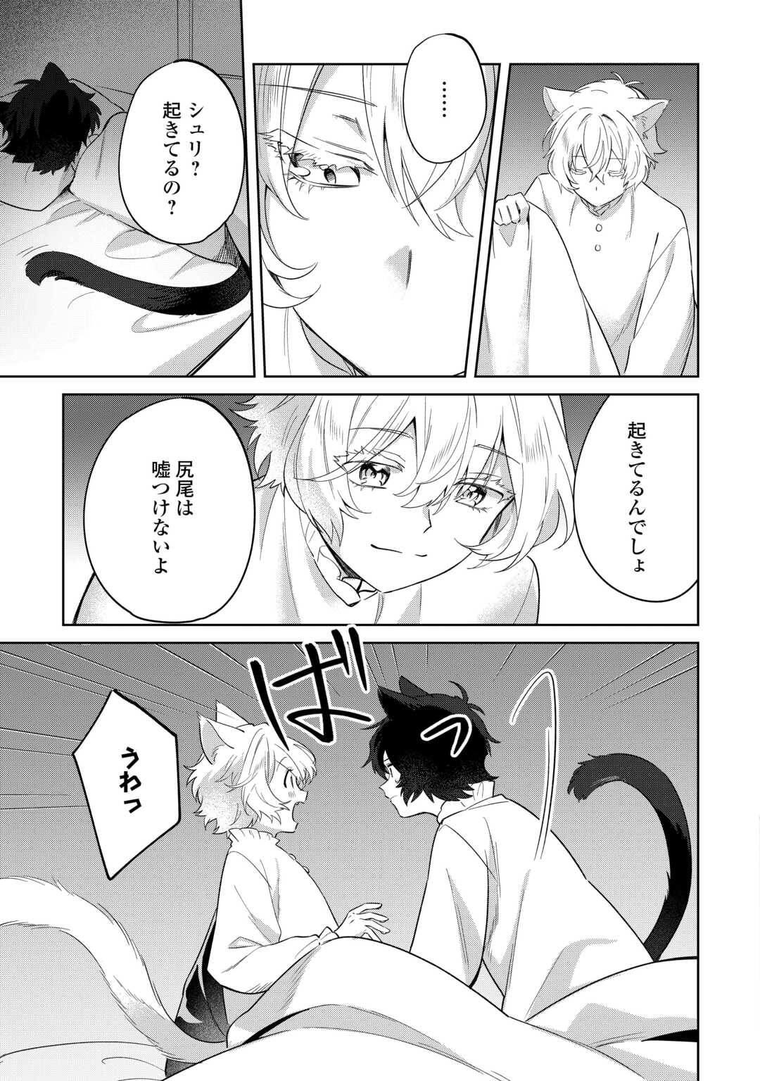 Futago no Ouji ni Futago de Konyaku shitakedo Janai Hou dakara Yami Mahou wo Kiwameru Chapter 4 9ページ