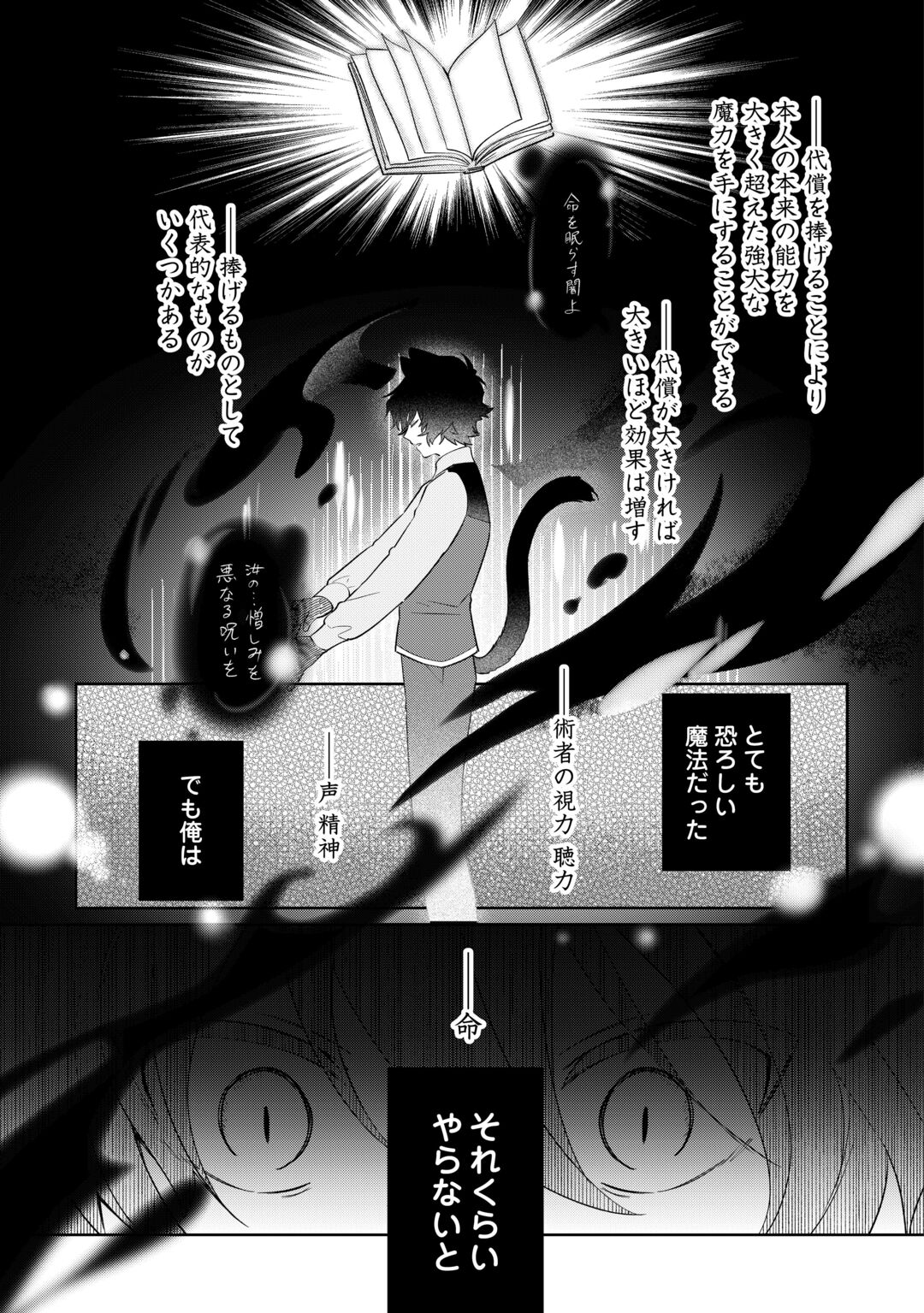 Futago no Ouji ni Futago de Konyaku shitakedo Janai Hou dakara Yami Mahou wo Kiwameru Chapter 5 3ページ