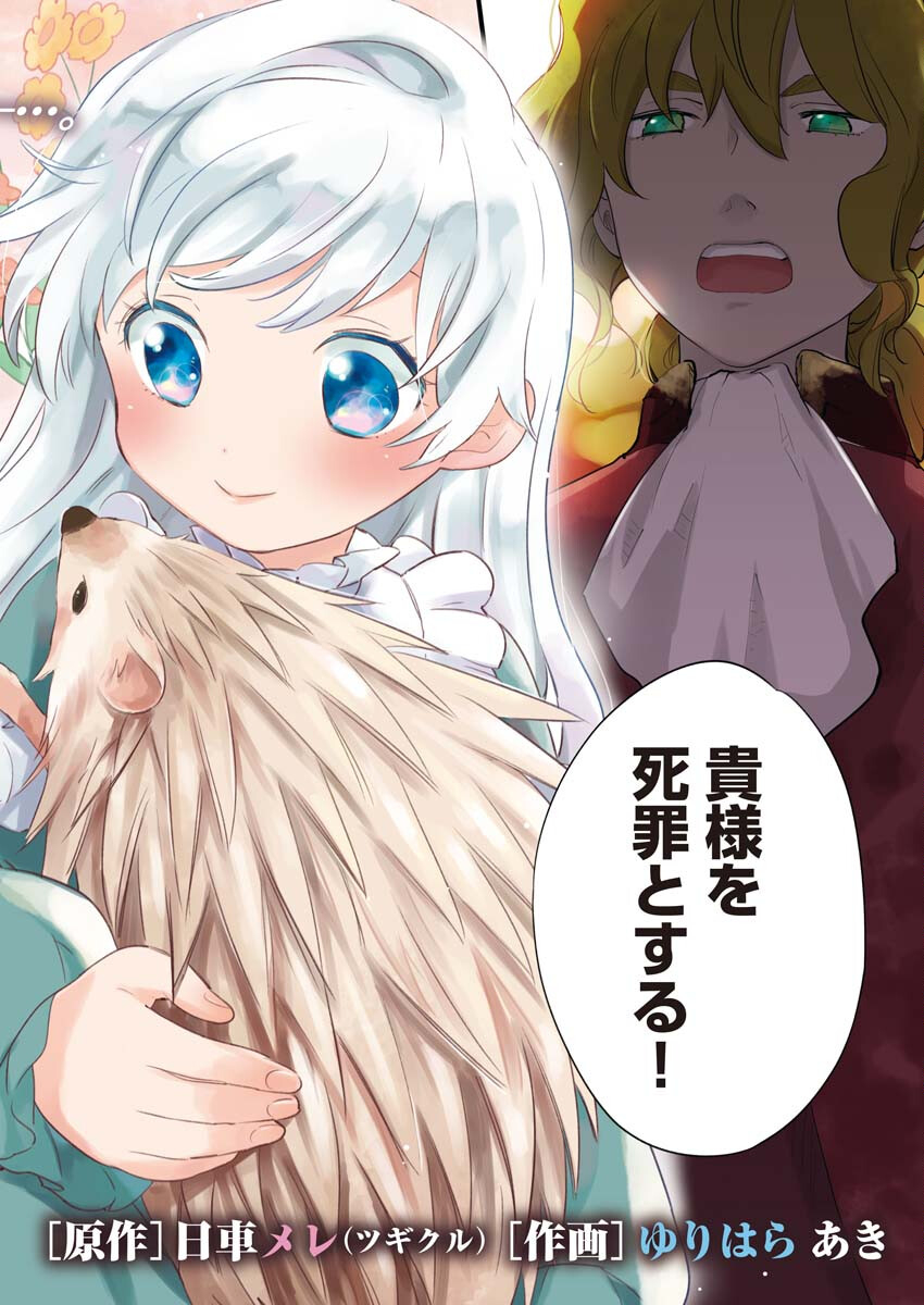 Shinimodori Reijou no Karisome Kekkon: Nidome no Jinsei wa Kimajime Shougun to Seijuu Mofumofu Chapter 1 2ページ