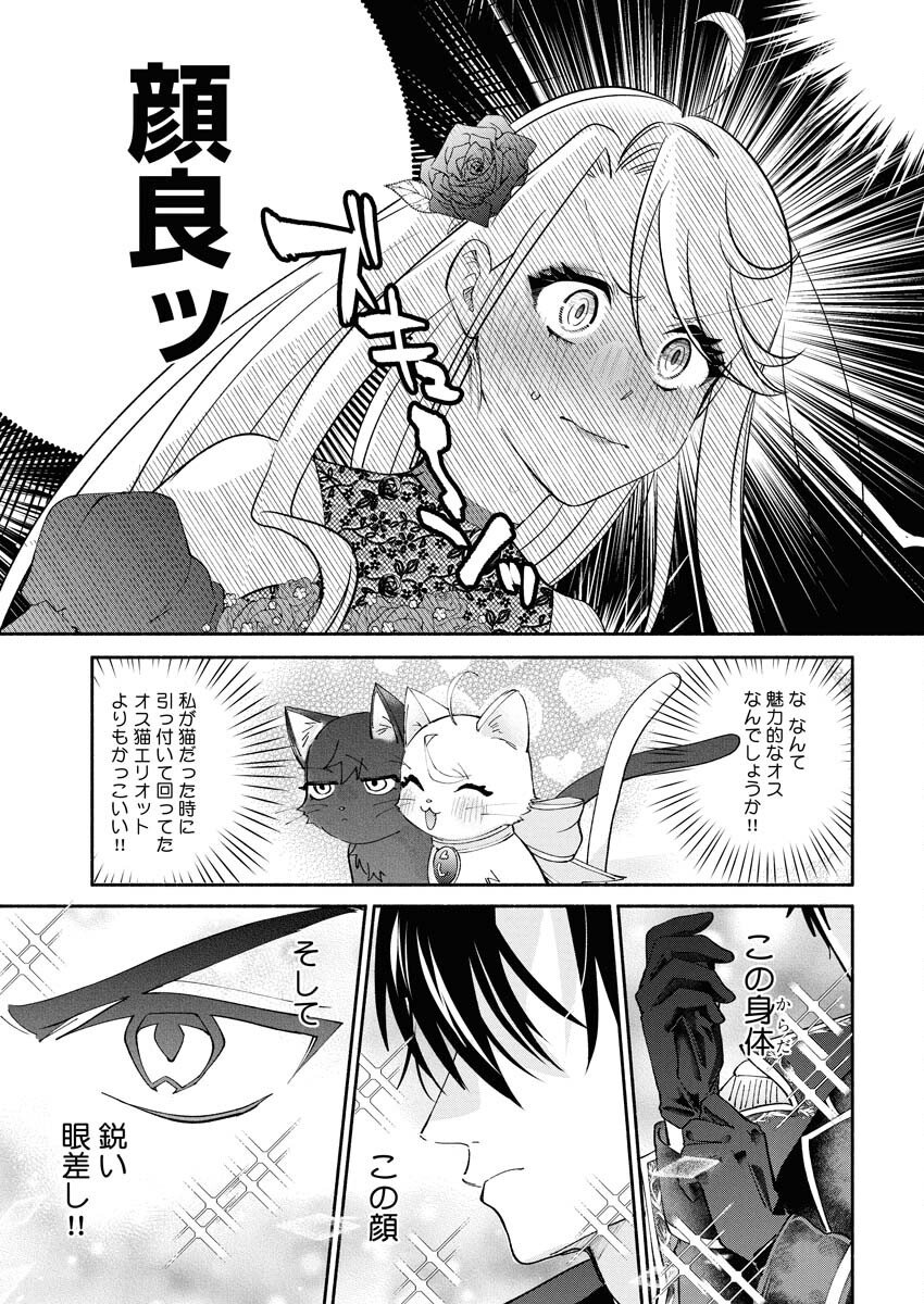 Konyakusha-sama ni wa Unmei no Heroine ga Arawaremasu ga, Zantei Konyaku Life wo Mankitsu shimasu! Chapter 1 35ページ