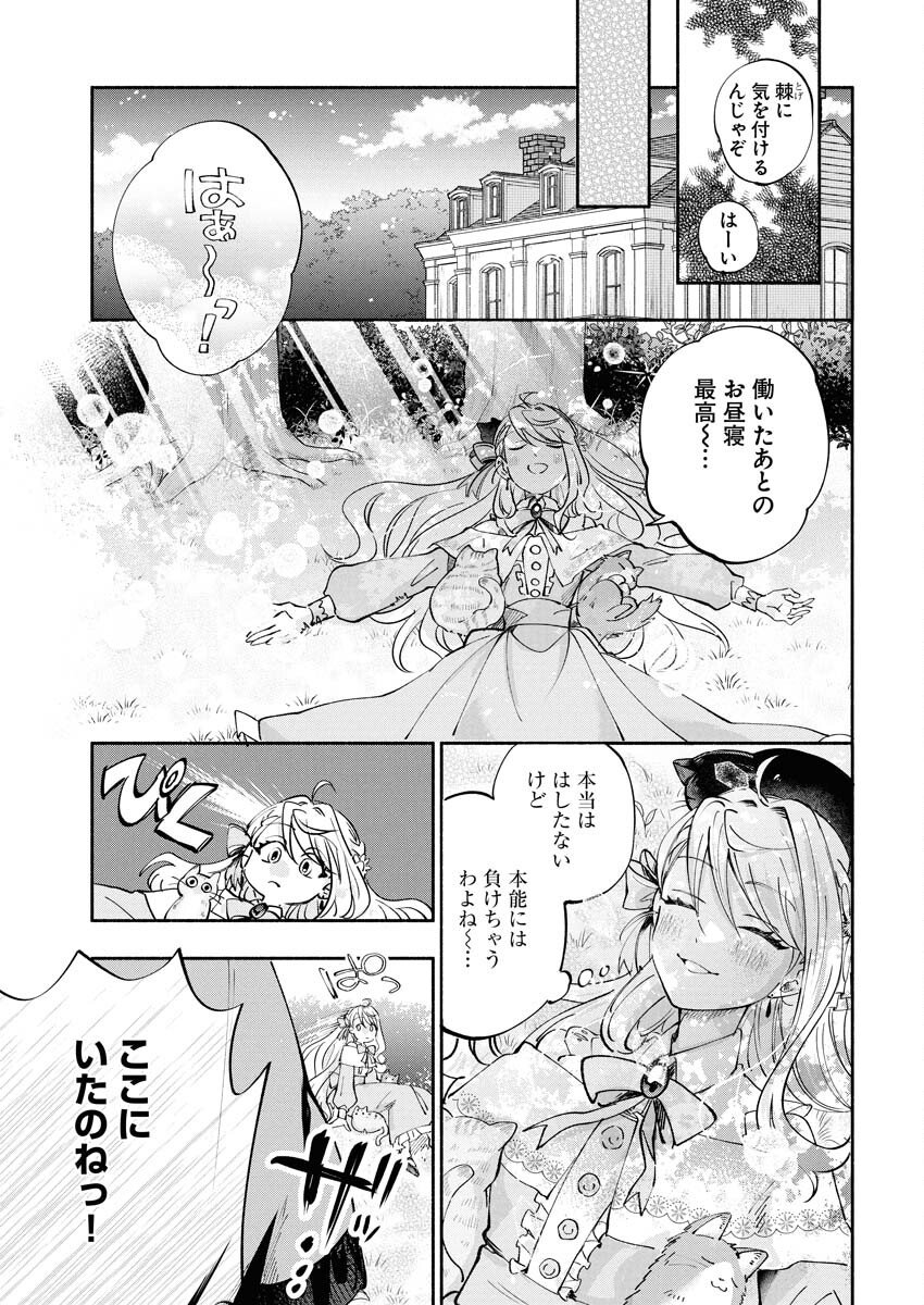 Konyakusha-sama ni wa Unmei no Heroine ga Arawaremasu ga, Zantei Konyaku Life wo Mankitsu shimasu! Chapter 4 7ページ