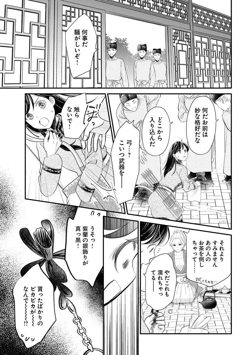 Shiran Koukyuuden Chapter 1 27ページ