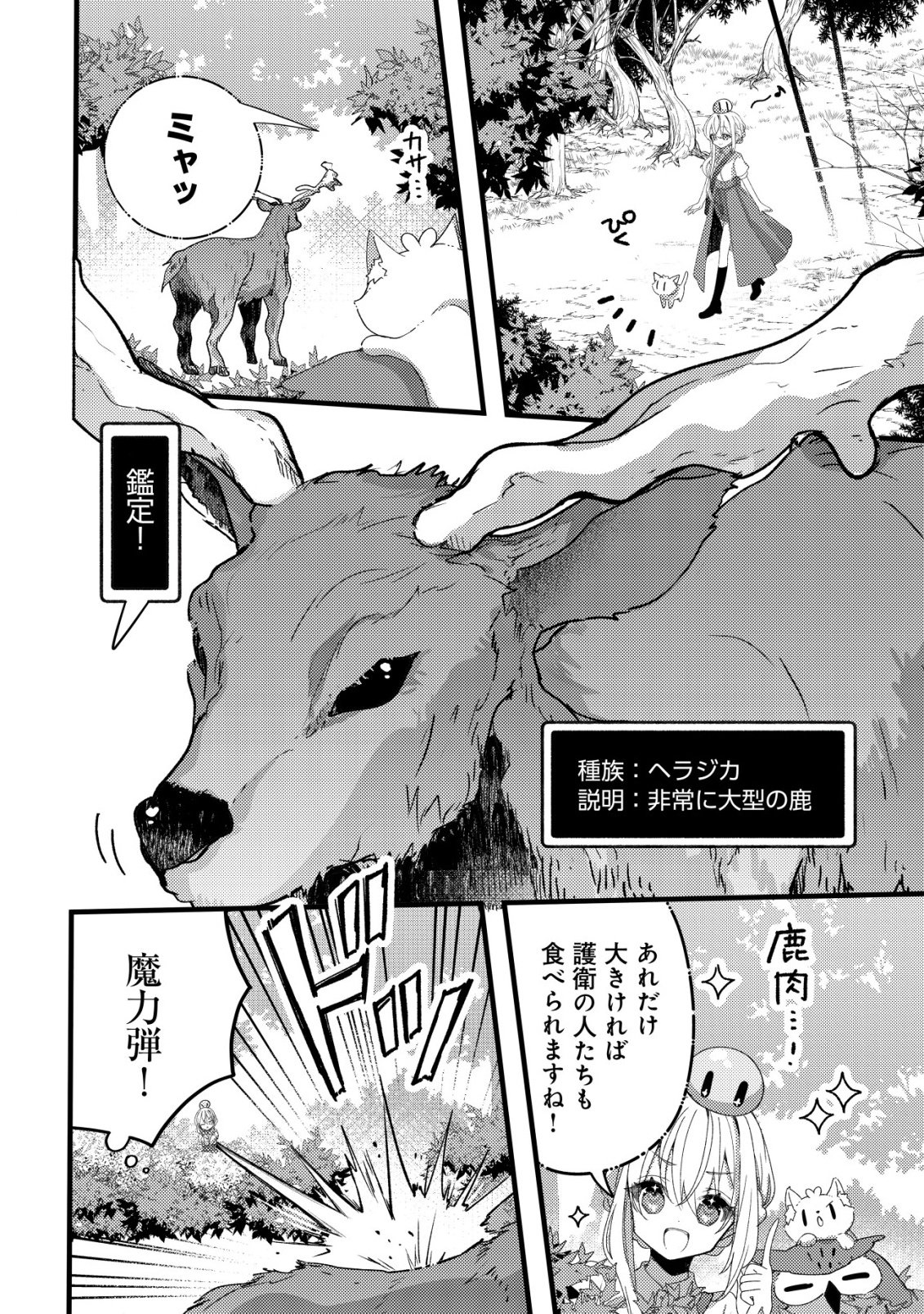 Tamer Shoujo no Toubou Nikki Chapter 13 12ページ