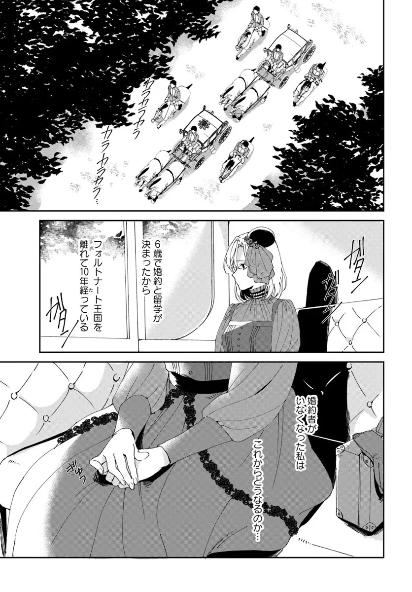 Daiichi Oujo Lucia no Kikan to Kareinaru Kaishingeki Chapter 1 7ページ