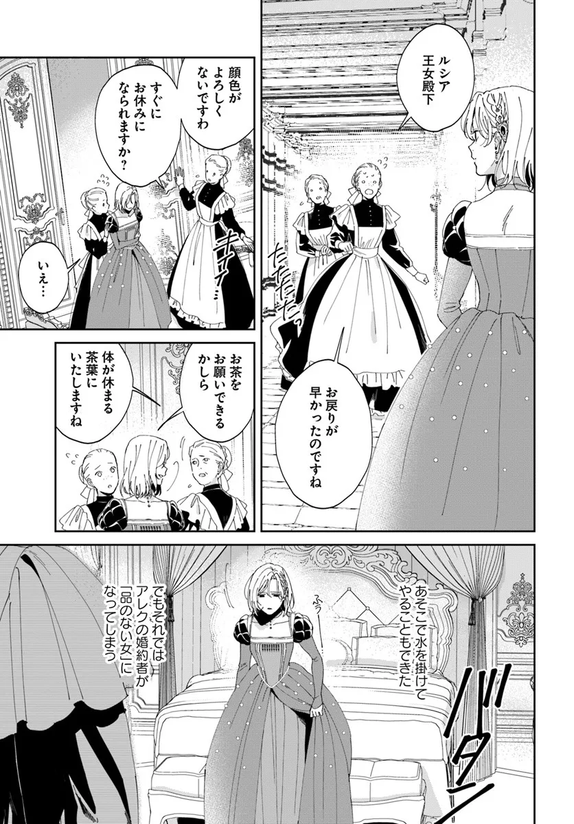 Daiichi Oujo Lucia no Kikan to Kareinaru Kaishingeki Chapter 2 19ページ