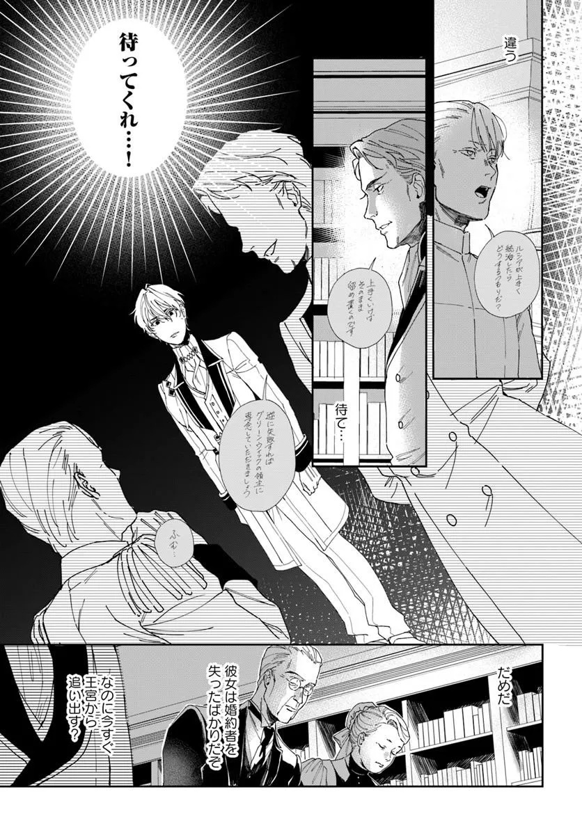 Daiichi Oujo Lucia no Kikan to Kareinaru Kaishingeki Chapter 5 5ページ