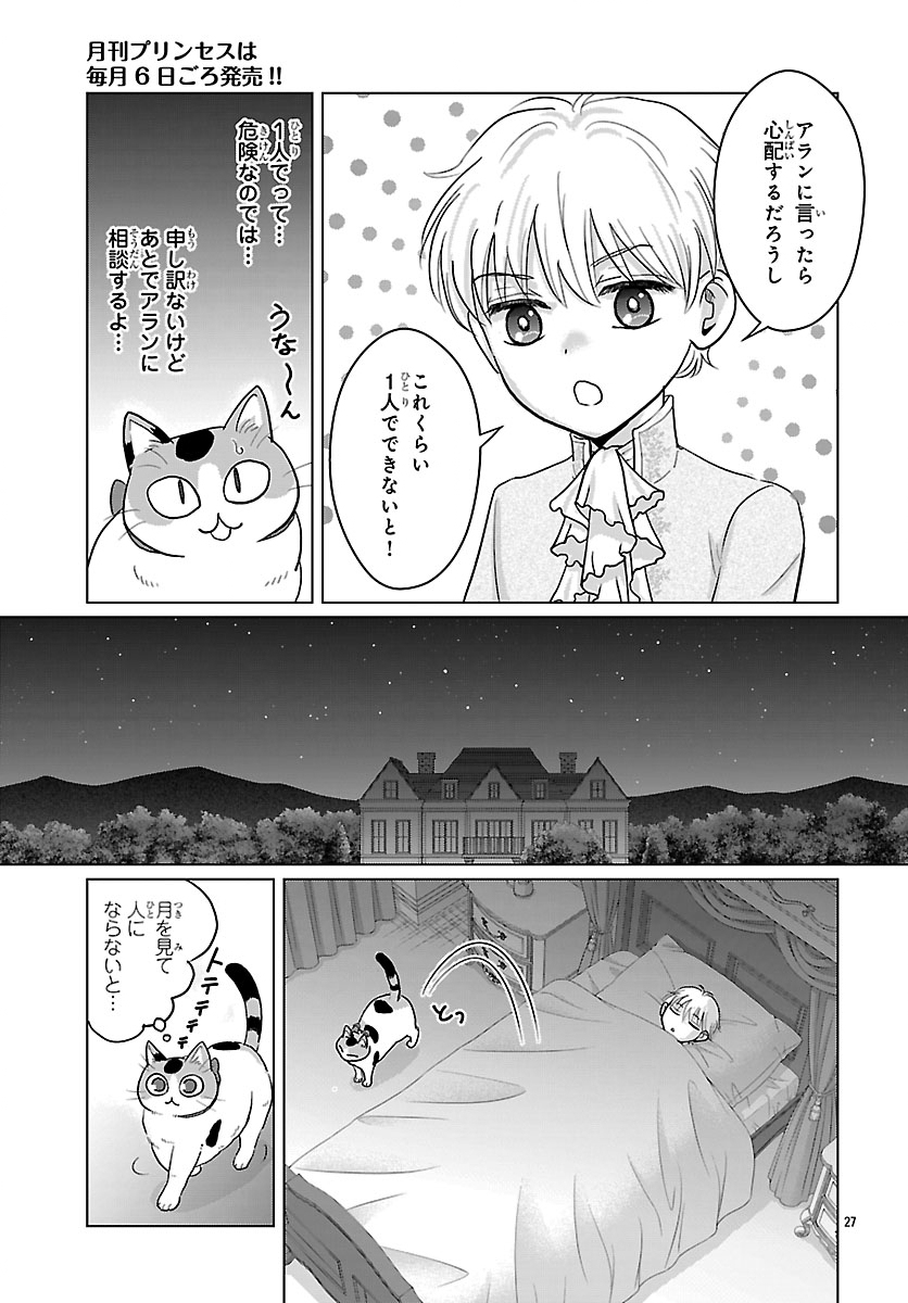 Tensei Shita Mikeneko wa Ouji to Gyokuza no Yume o Miru Chapter 9.2 13ページ