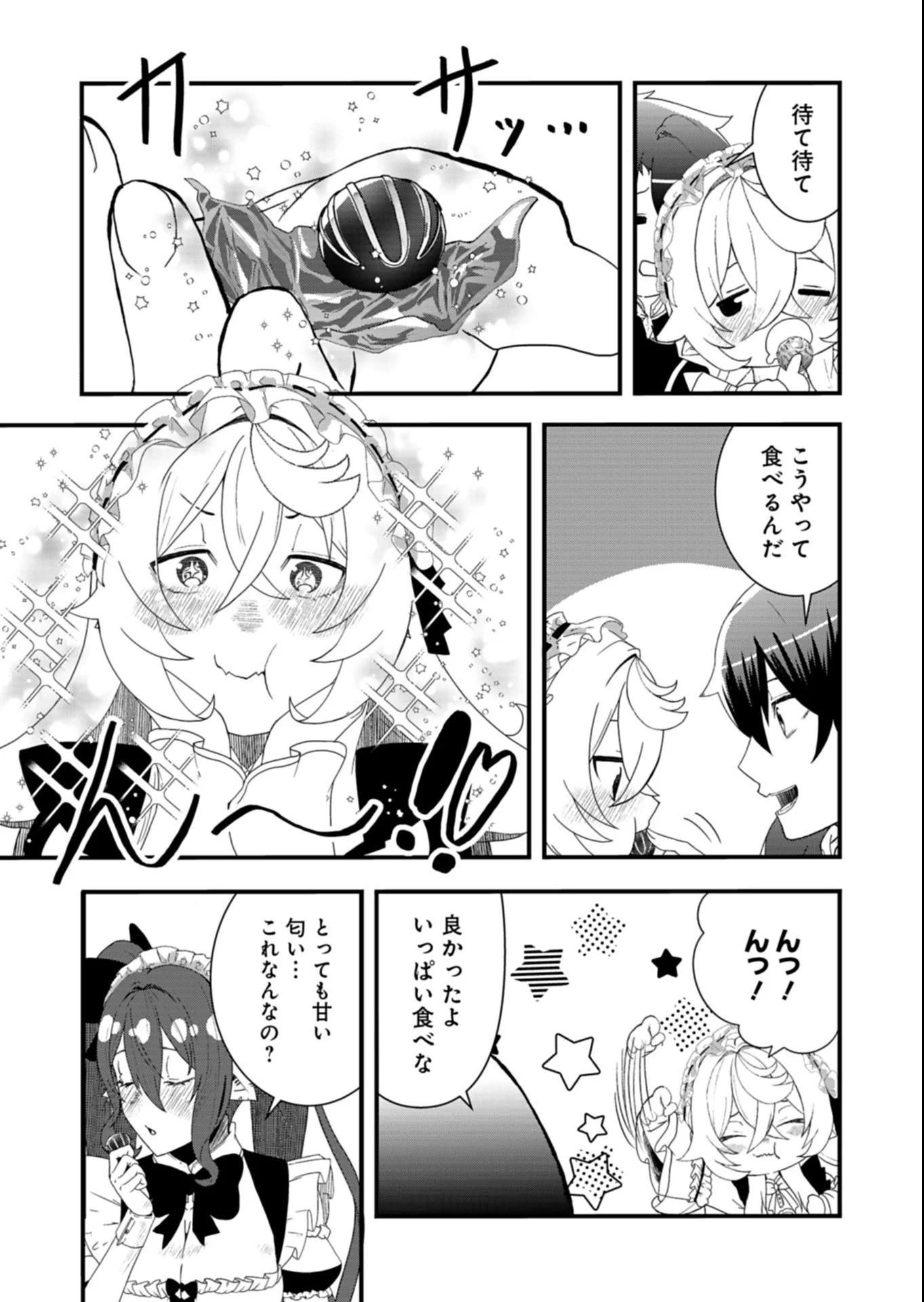 Ore no Shoukan Mahou ga Okashii Chapter 5.2 15ページ