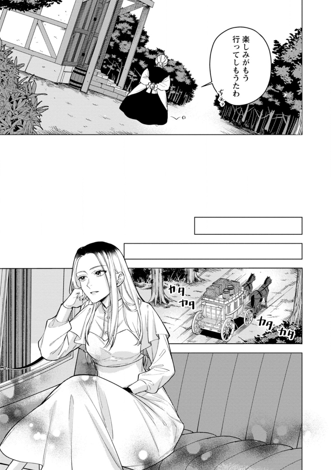 Veil no Seijo - Minikui to Gokaisareta Seijo, Ikemen Goei Kishi ni Dekiaisareru Chapter 27.1 9ページ