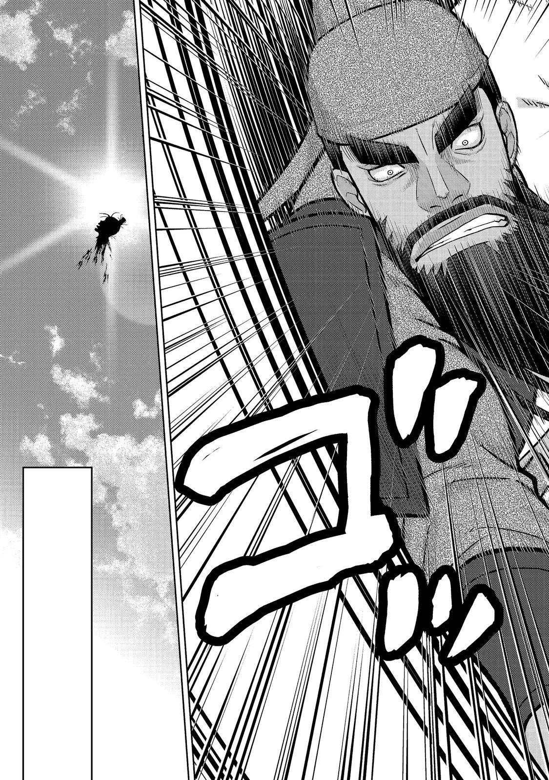 Janai Kongming Tenseiki Chapter 13.2 8ページ