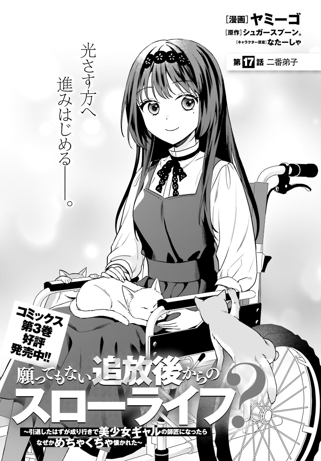 Negattemonai Tsuihougo kara no Slow Life? ~Intai shita Hazu ga Nariyuki de Bishoujo Gal no Shishou ni Nattara naze ka Mechakucha Natsukareta~ Chapter 17 1ページ